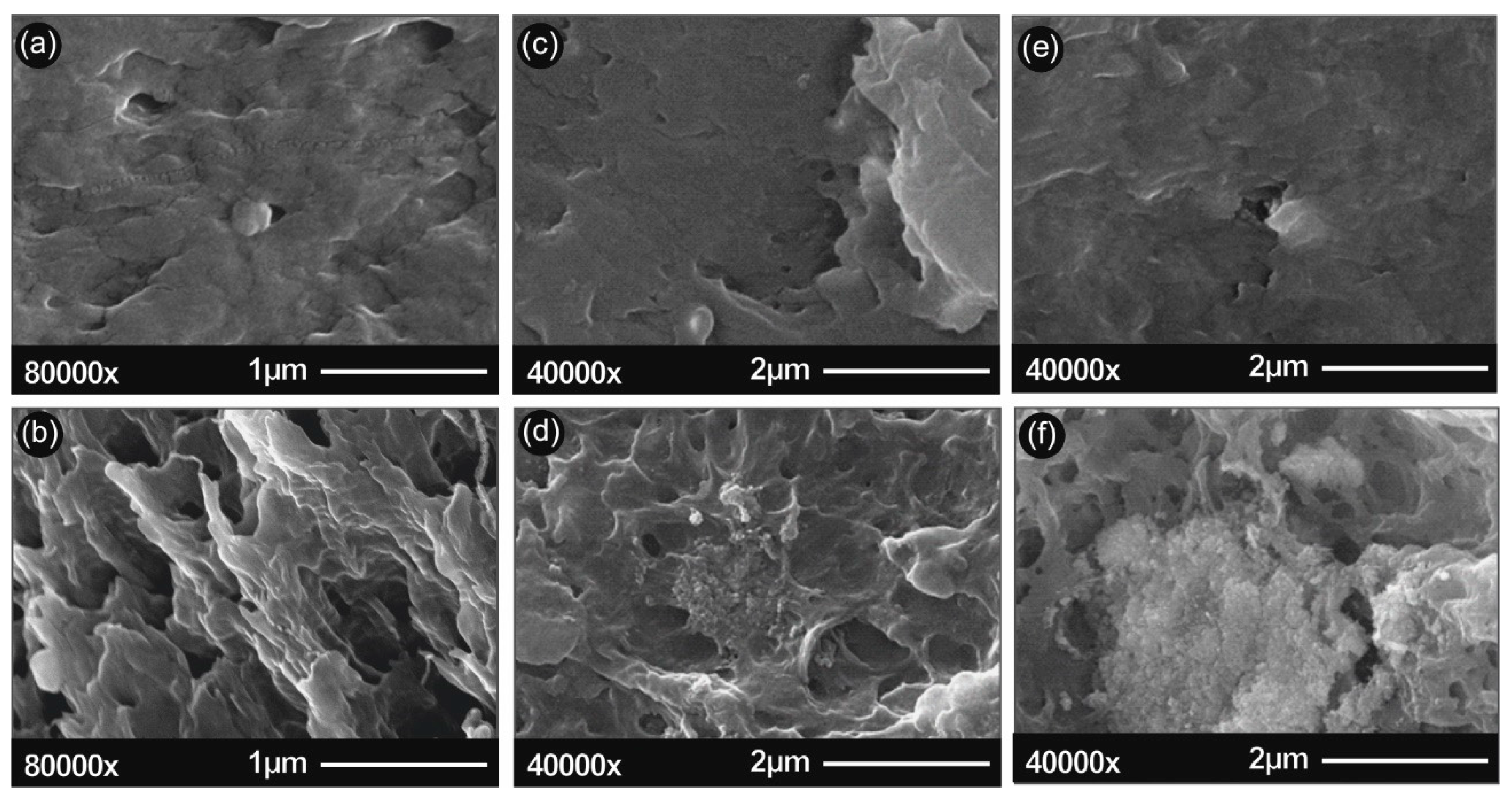 Polymers 12 01589 g002