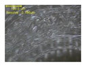 Polymers 12 01600 i005 Polymers 12 01600 i005