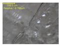Polymers 12 01600 i019 Polymers 12 01600 i019