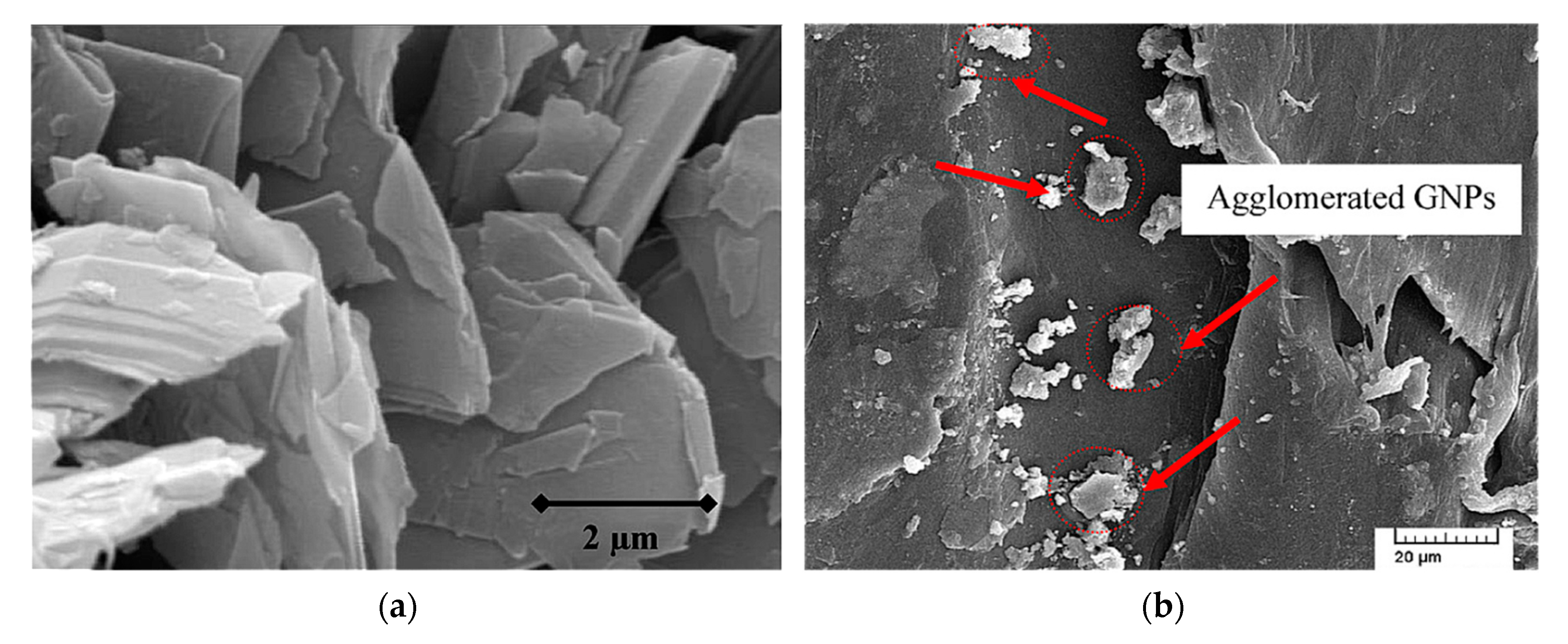 Polymers 12 01601 g006
