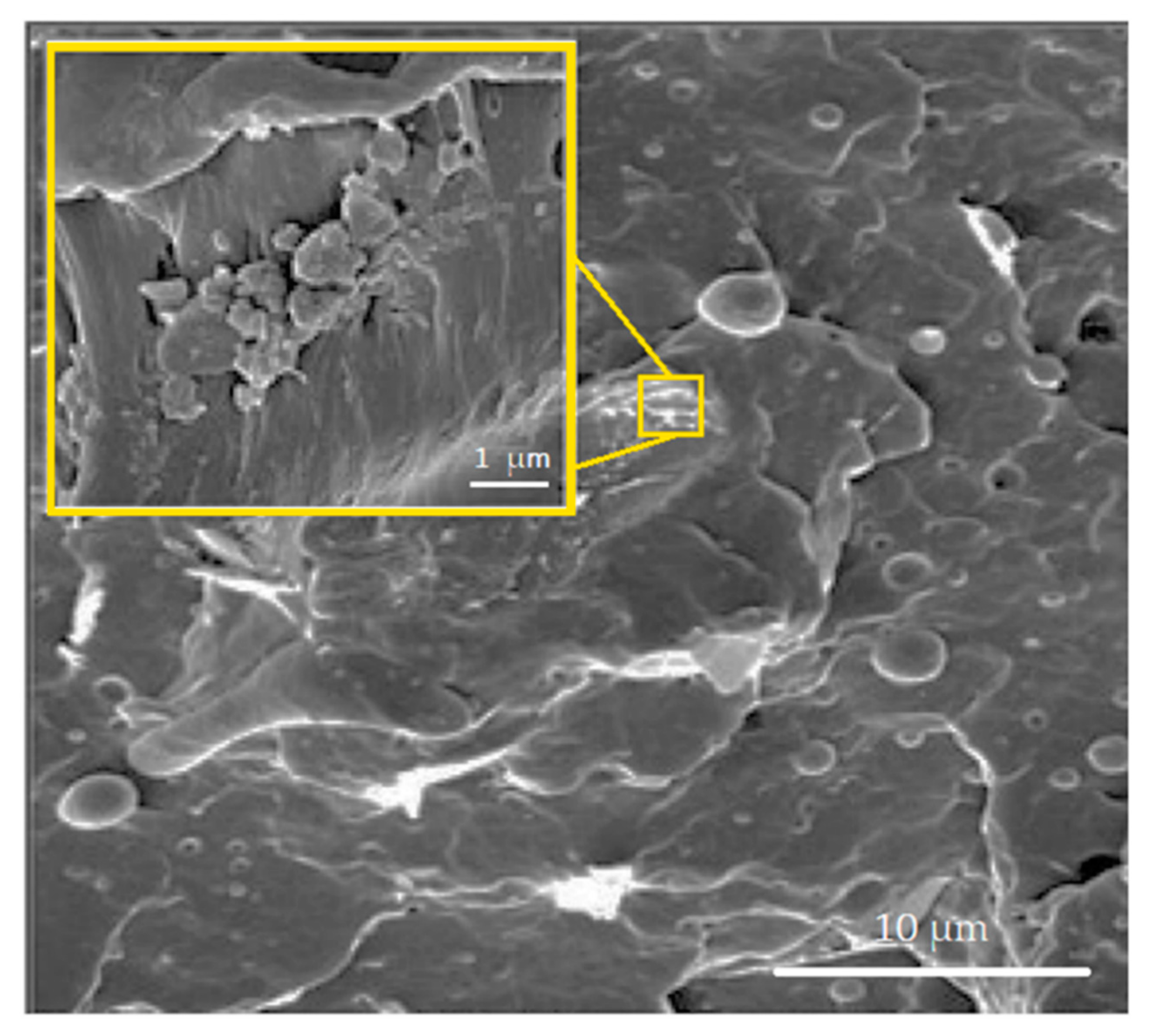 Polymers 12 01601 g007
