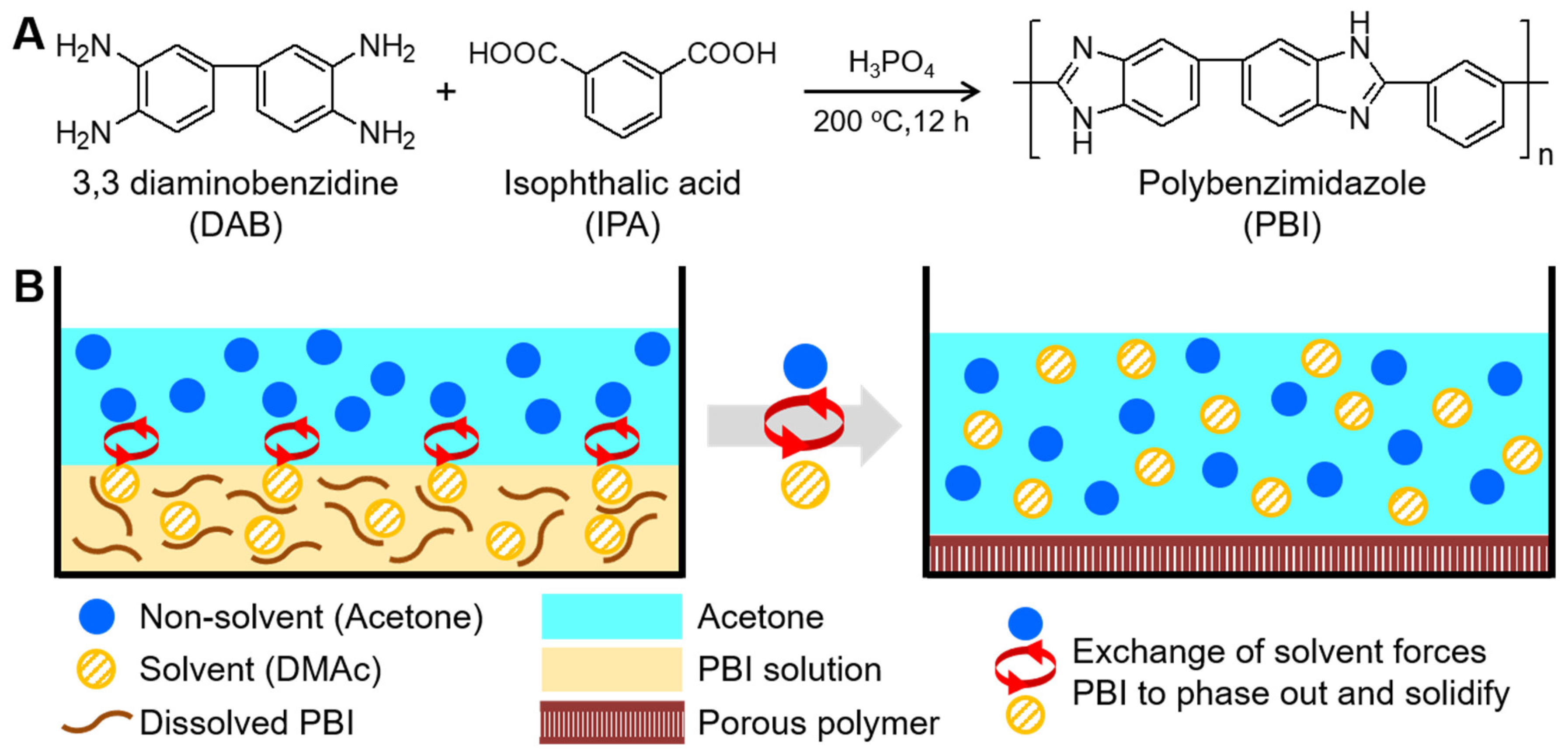 Polymers 12 01604 g001
