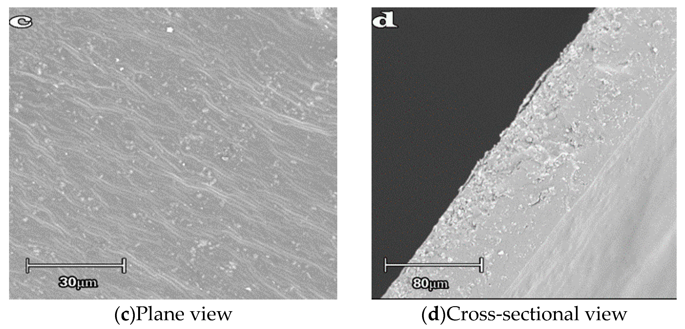 Polymers 12 01611 g002b Polymers 12 01611 g002b
