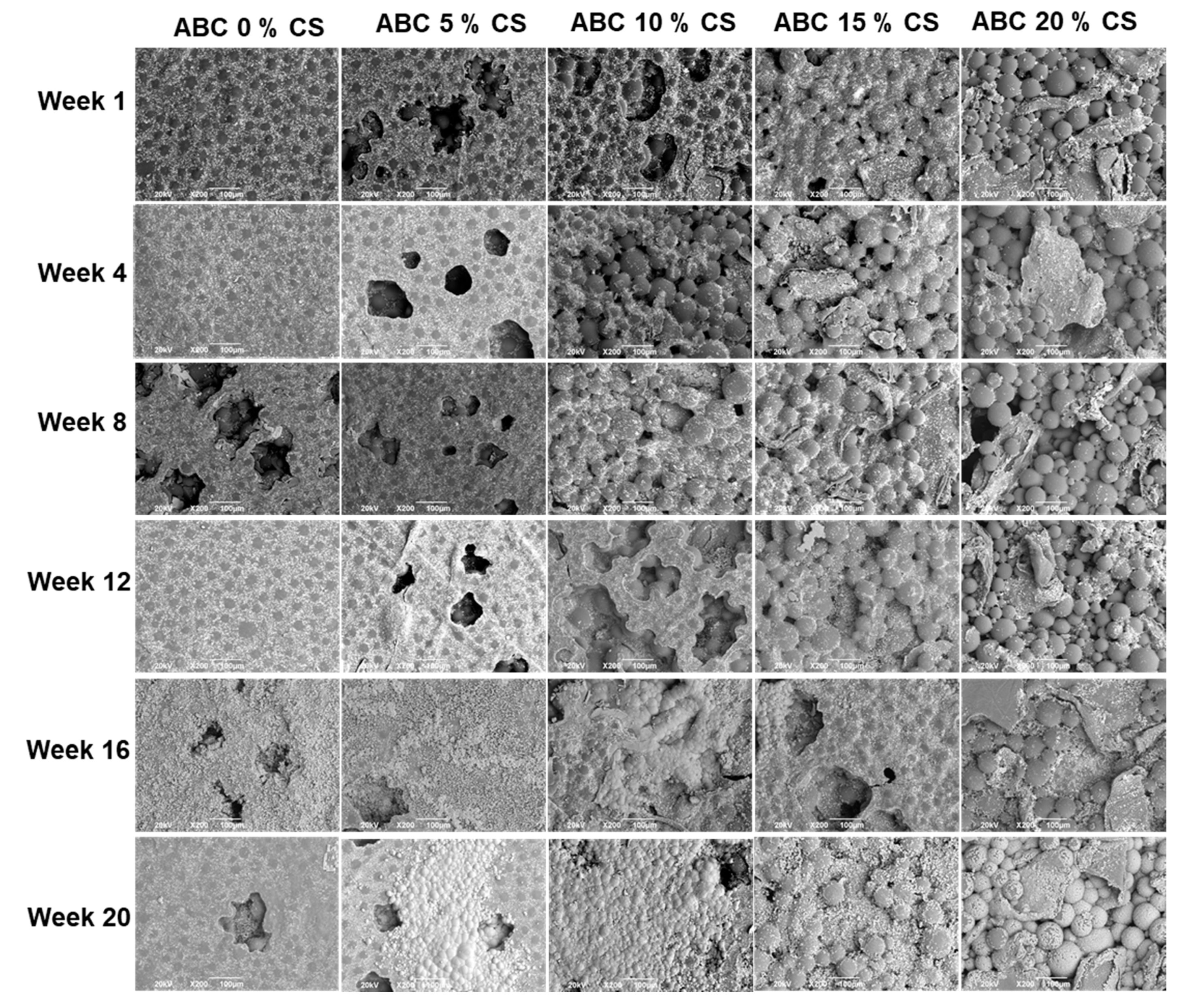 Polymers 12 01617 g007 Polymers 12 01617 g007