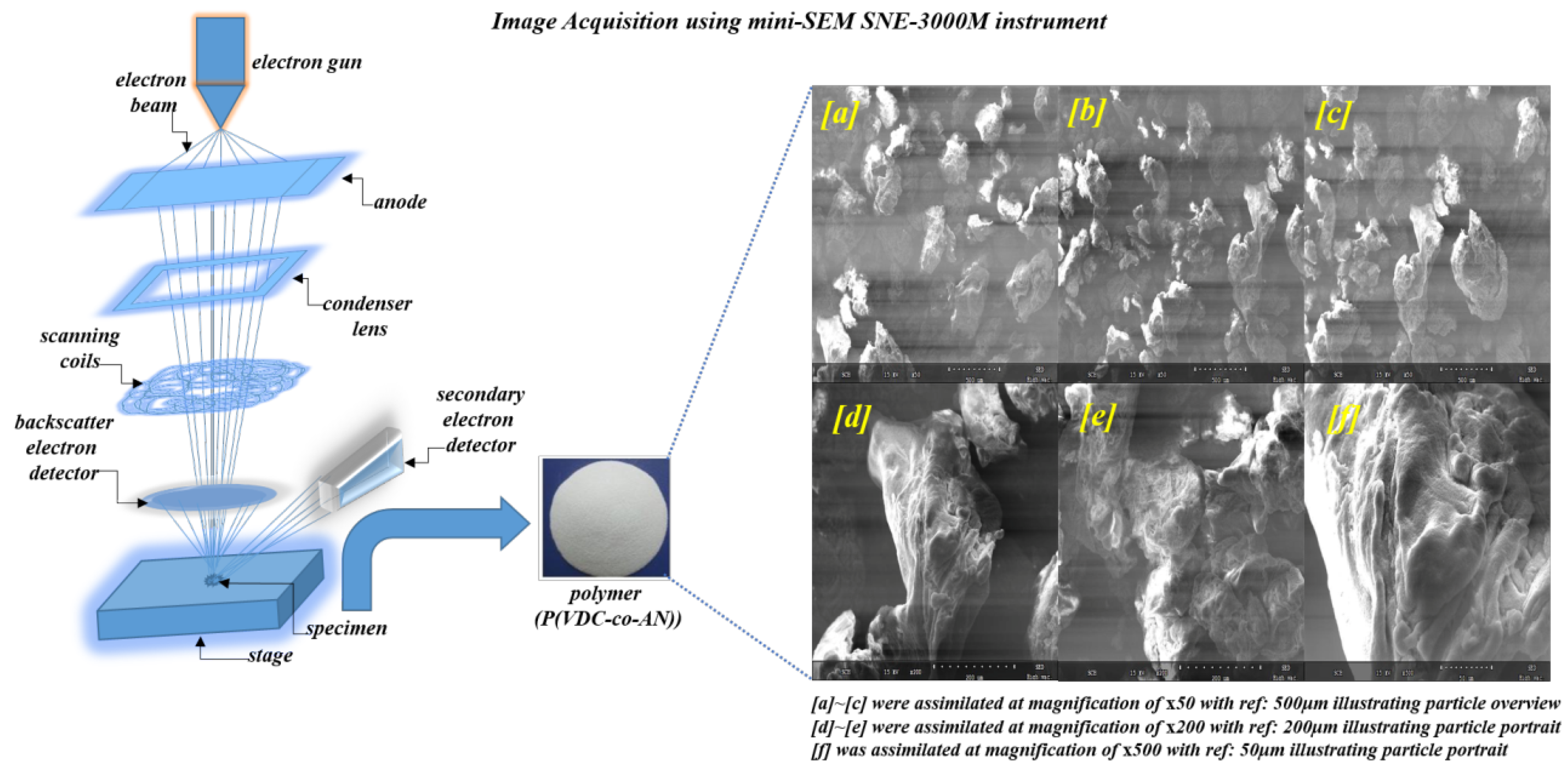 Polymers 12 01631 g002 Polymers 12 01631 g002