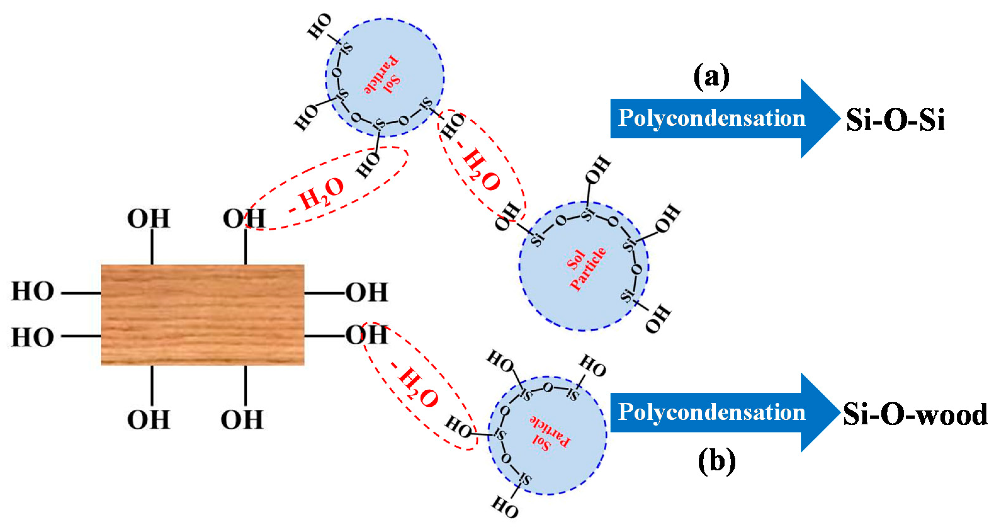 Polymers 12 01632 g004 Polymers 12 01632 g004