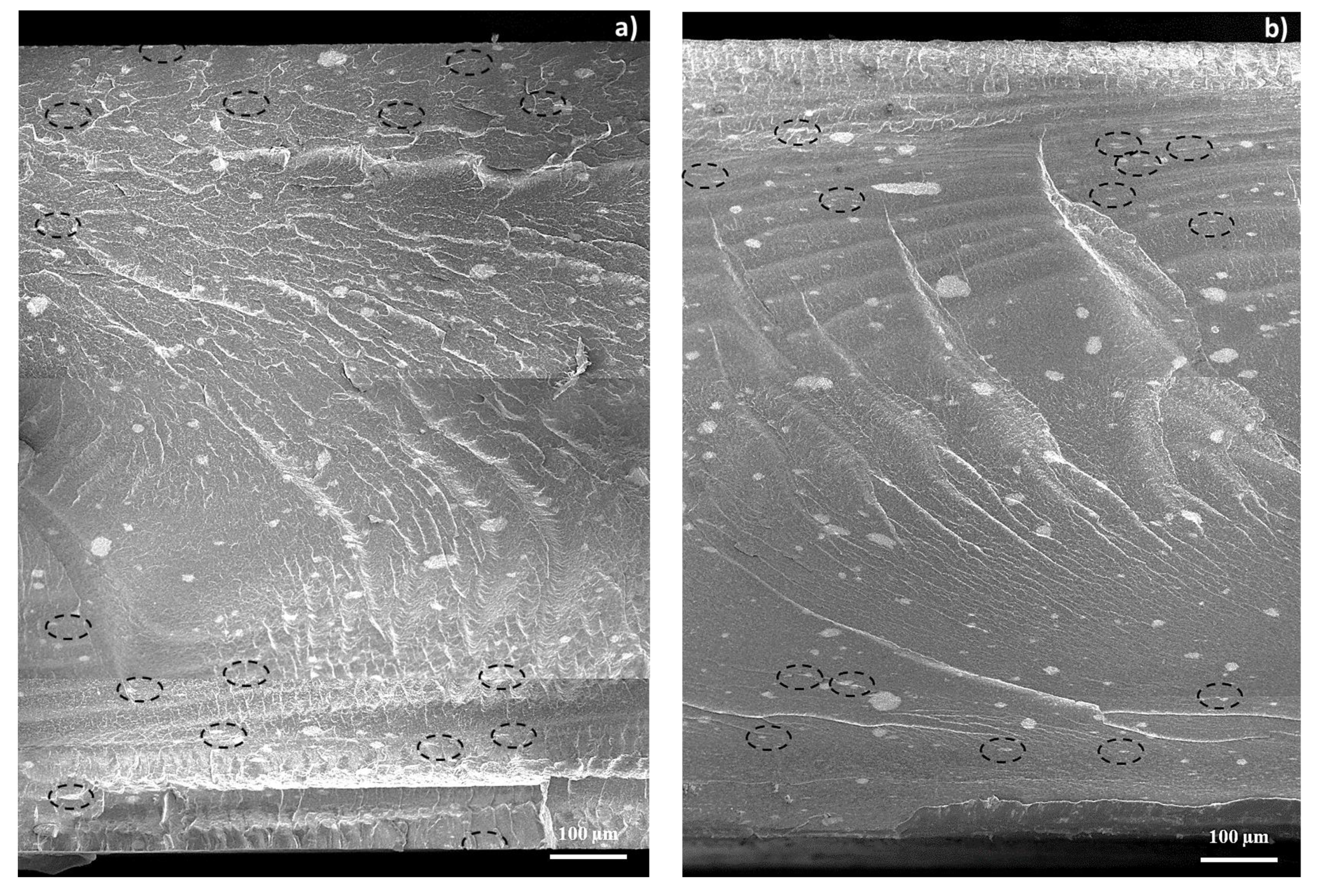 Polymers 12 01685 g008