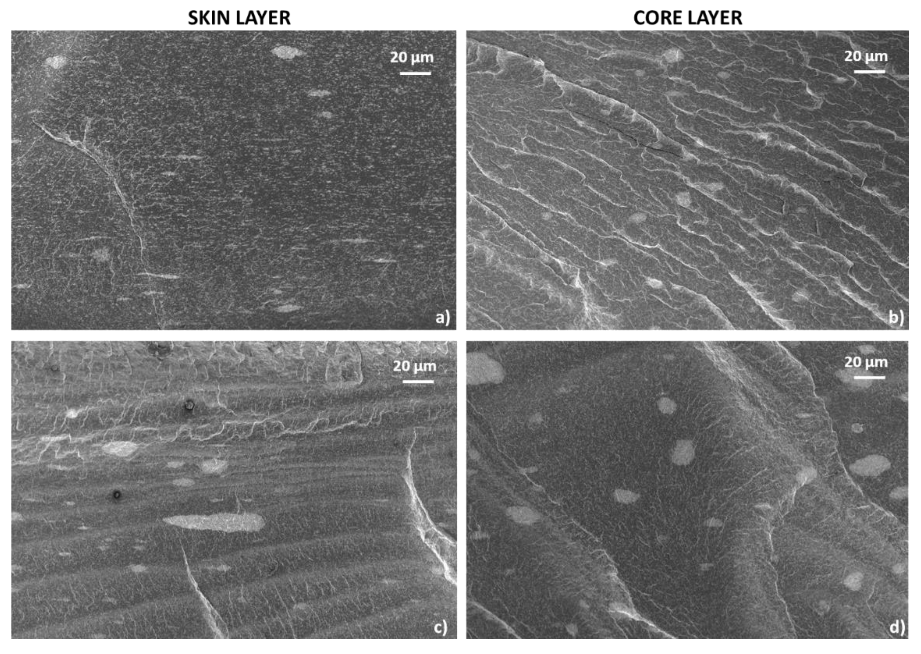 Polymers 12 01685 g009