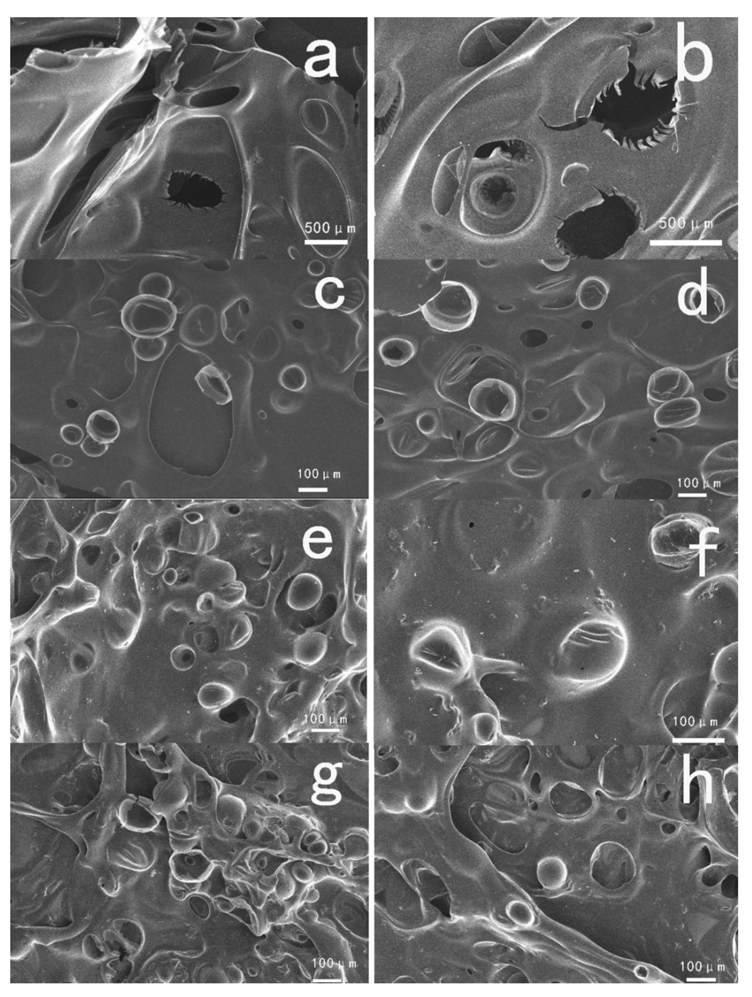 Polymers 12 01689 g008