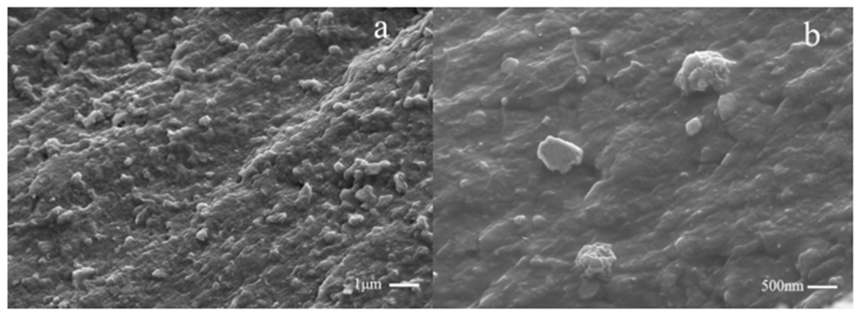 Polymers 12 01689 g013