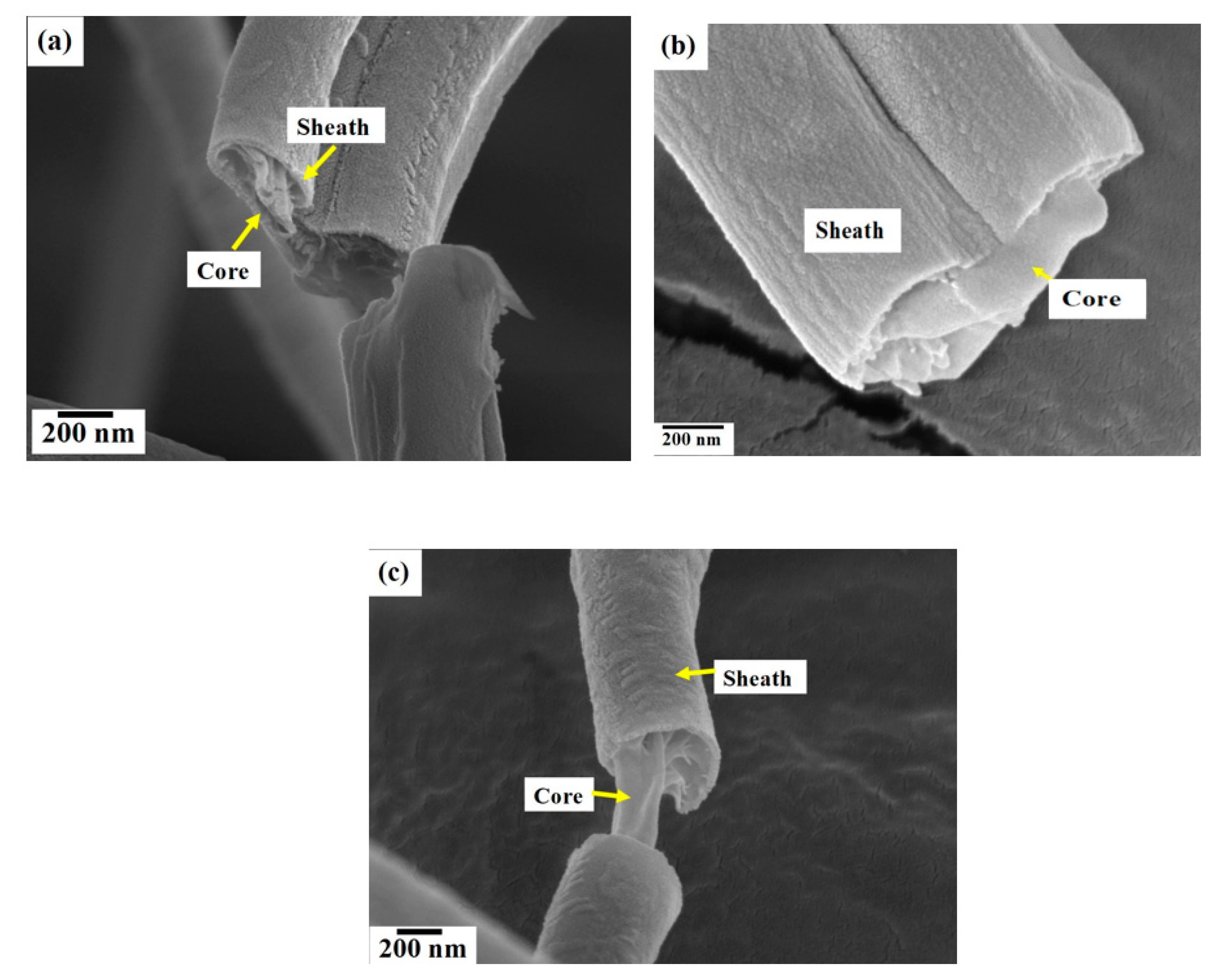Polymers 12 01709 g005 Polymers 12 01709 g005