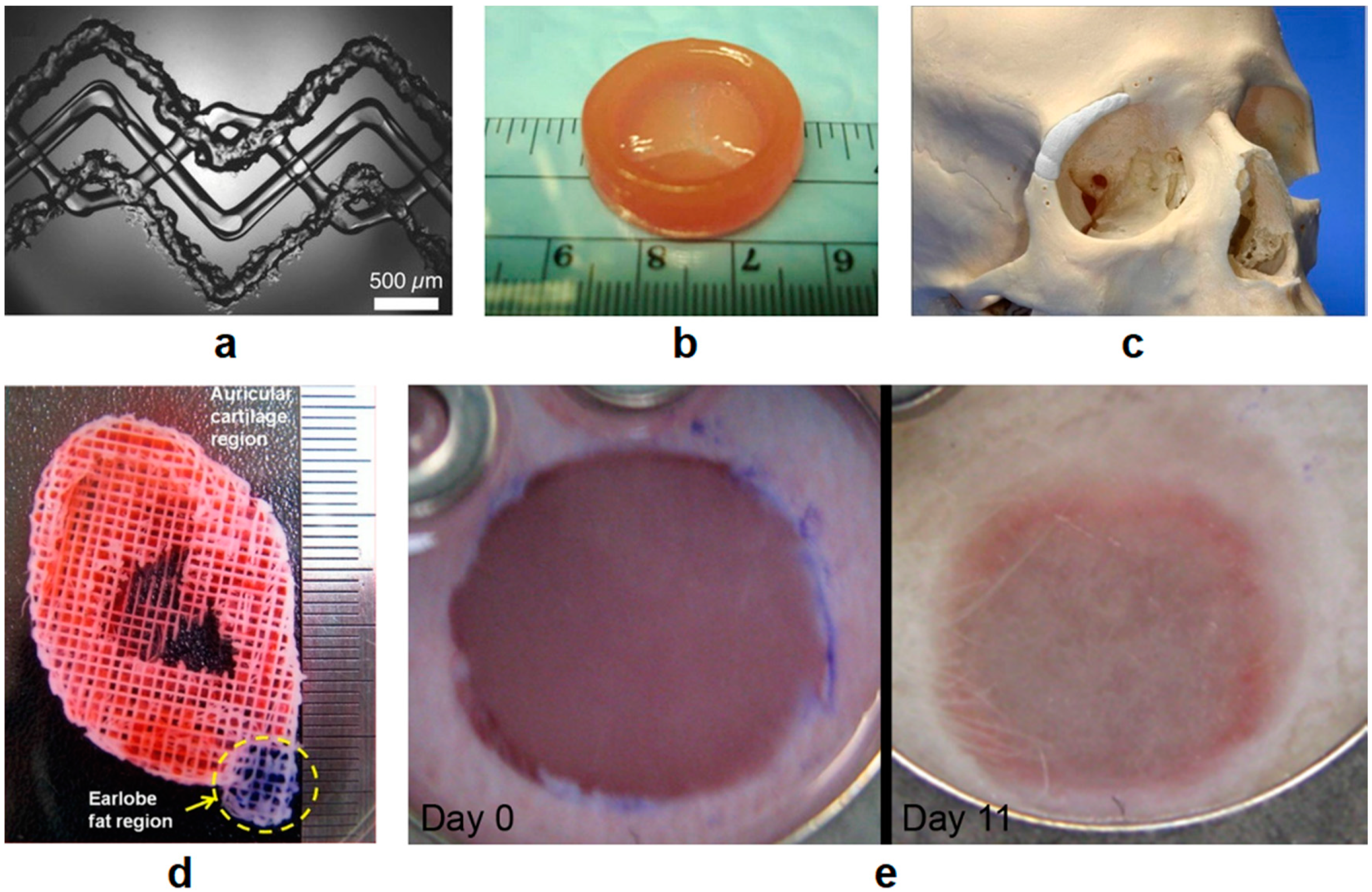 Polymers 12 01717 g007