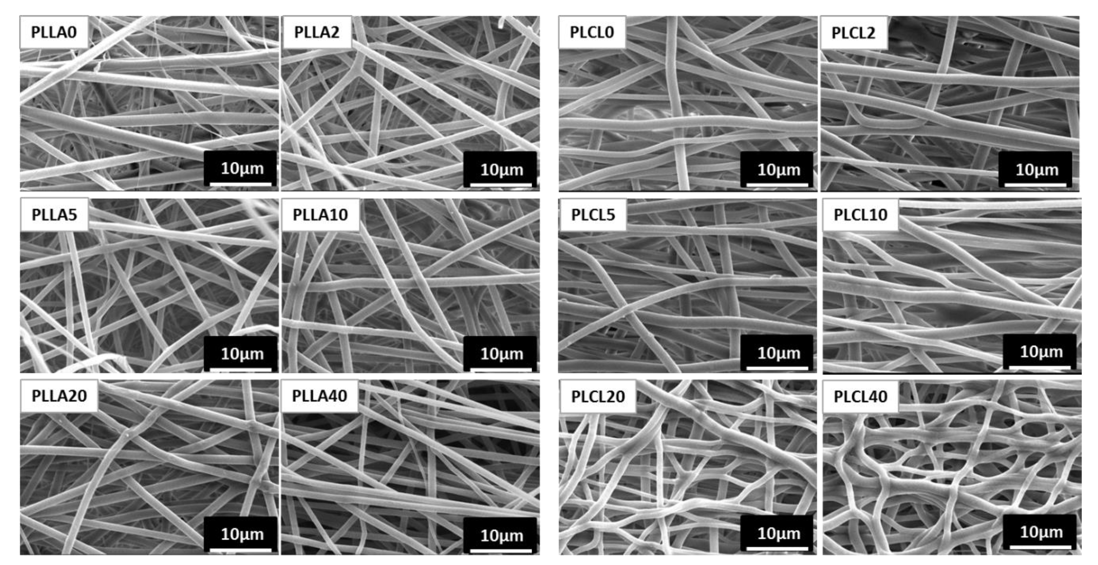 Polymers 12 01731 g004 Polymers 12 01731 g004