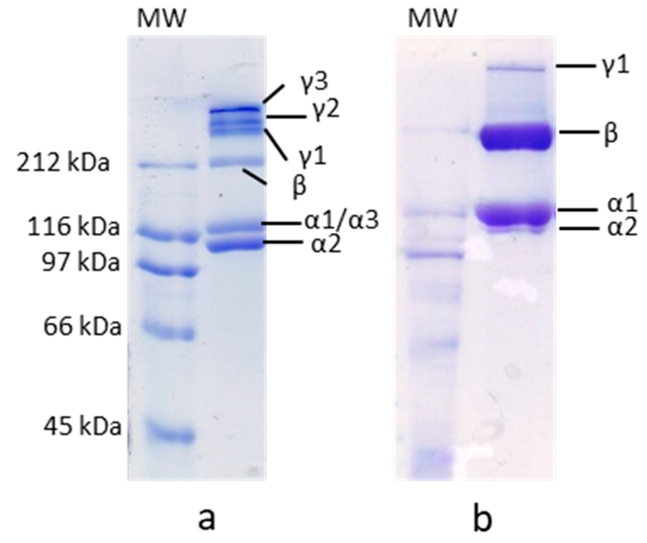 Polymers 12 01734 g002 Polymers 12 01734 g002