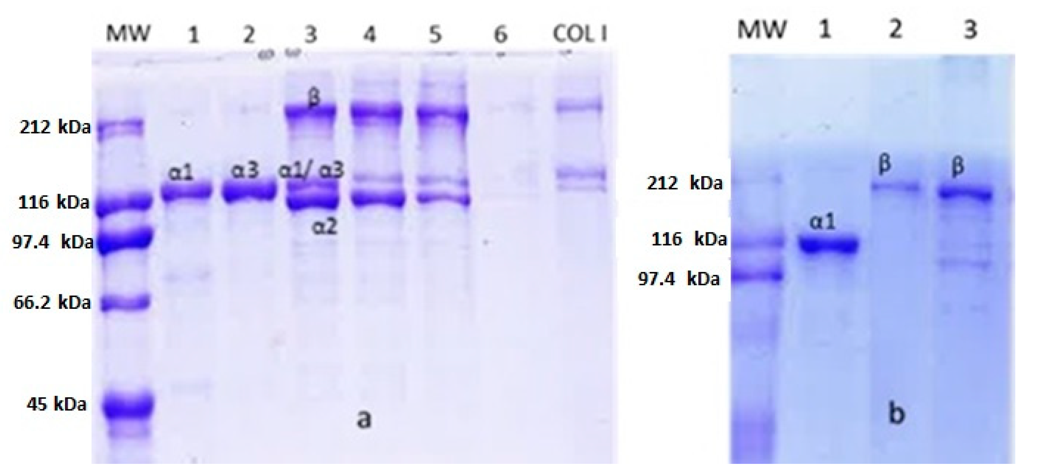 Polymers 12 01734 g006 Polymers 12 01734 g006