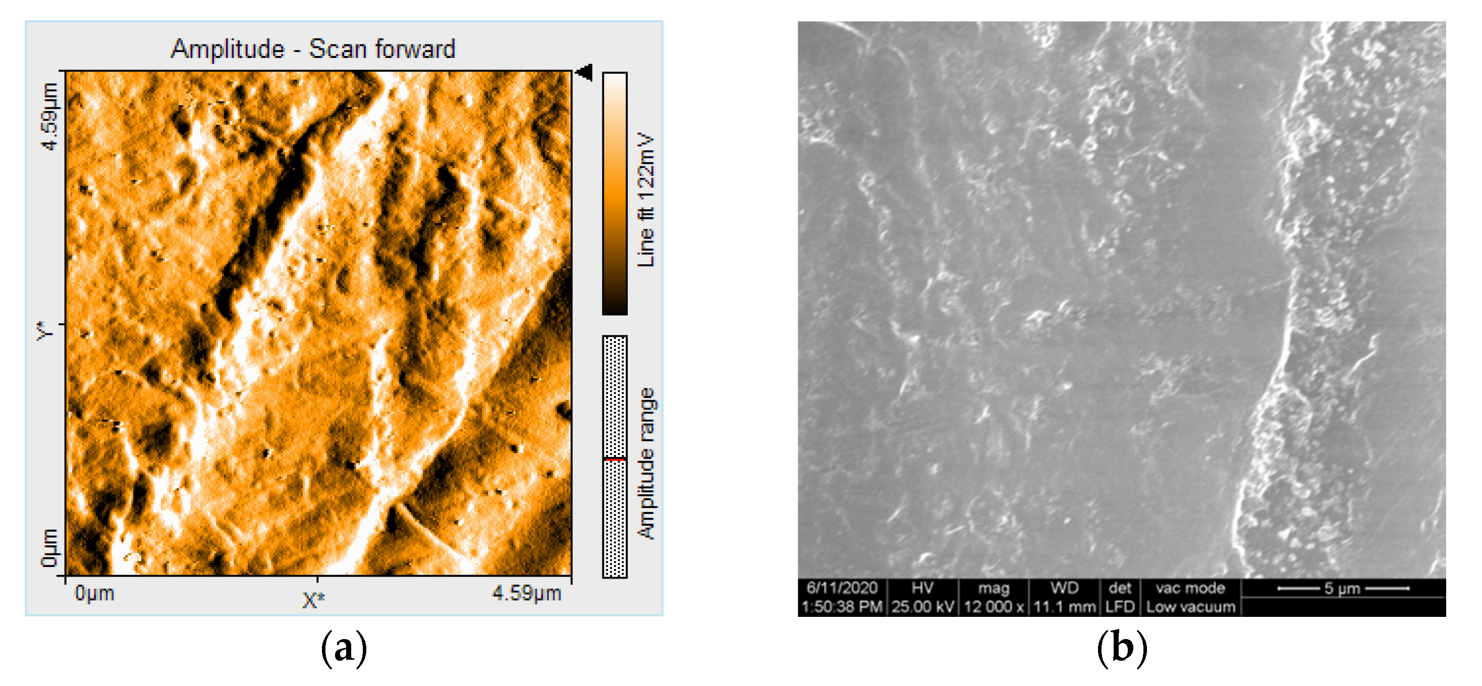 Polymers 12 01736 g019
