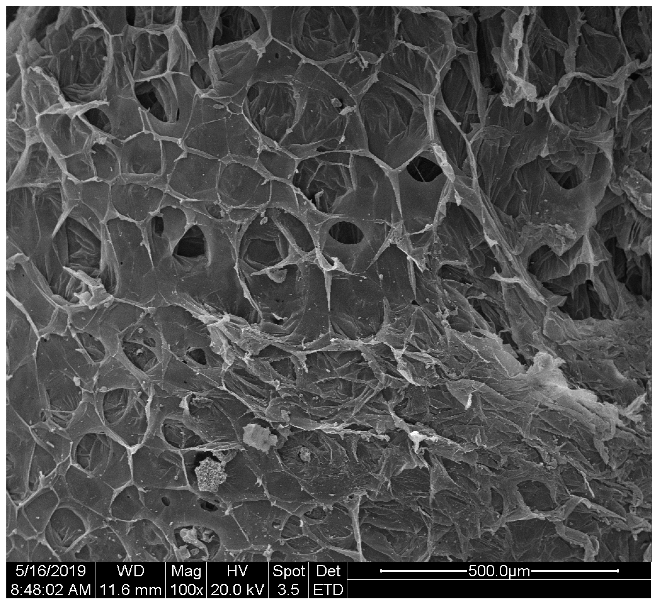 Polymers 12 01744 g001 Polymers 12 01744 g001