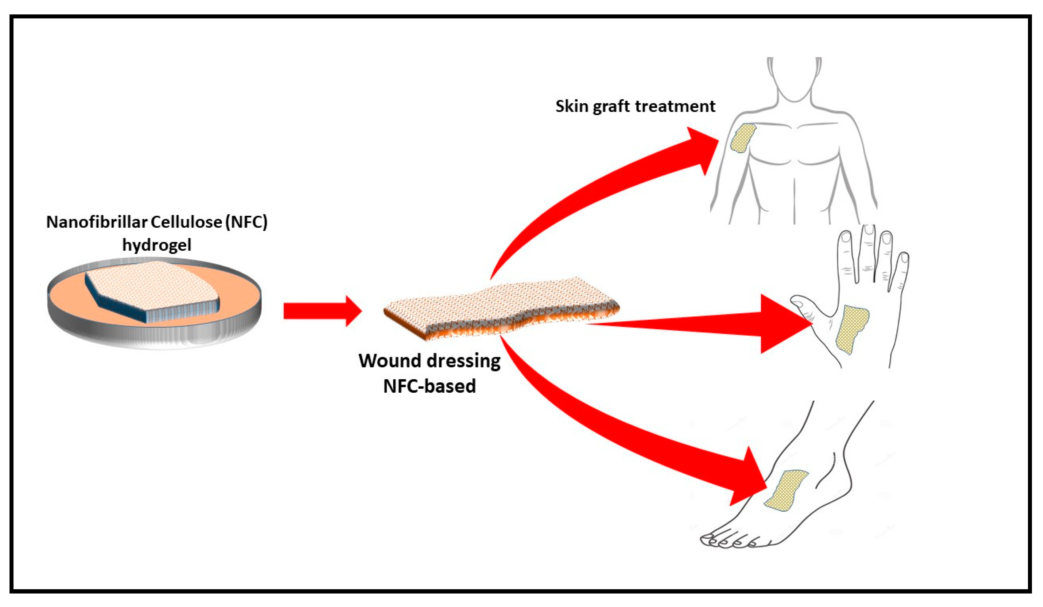Polymers 12 01759 g008