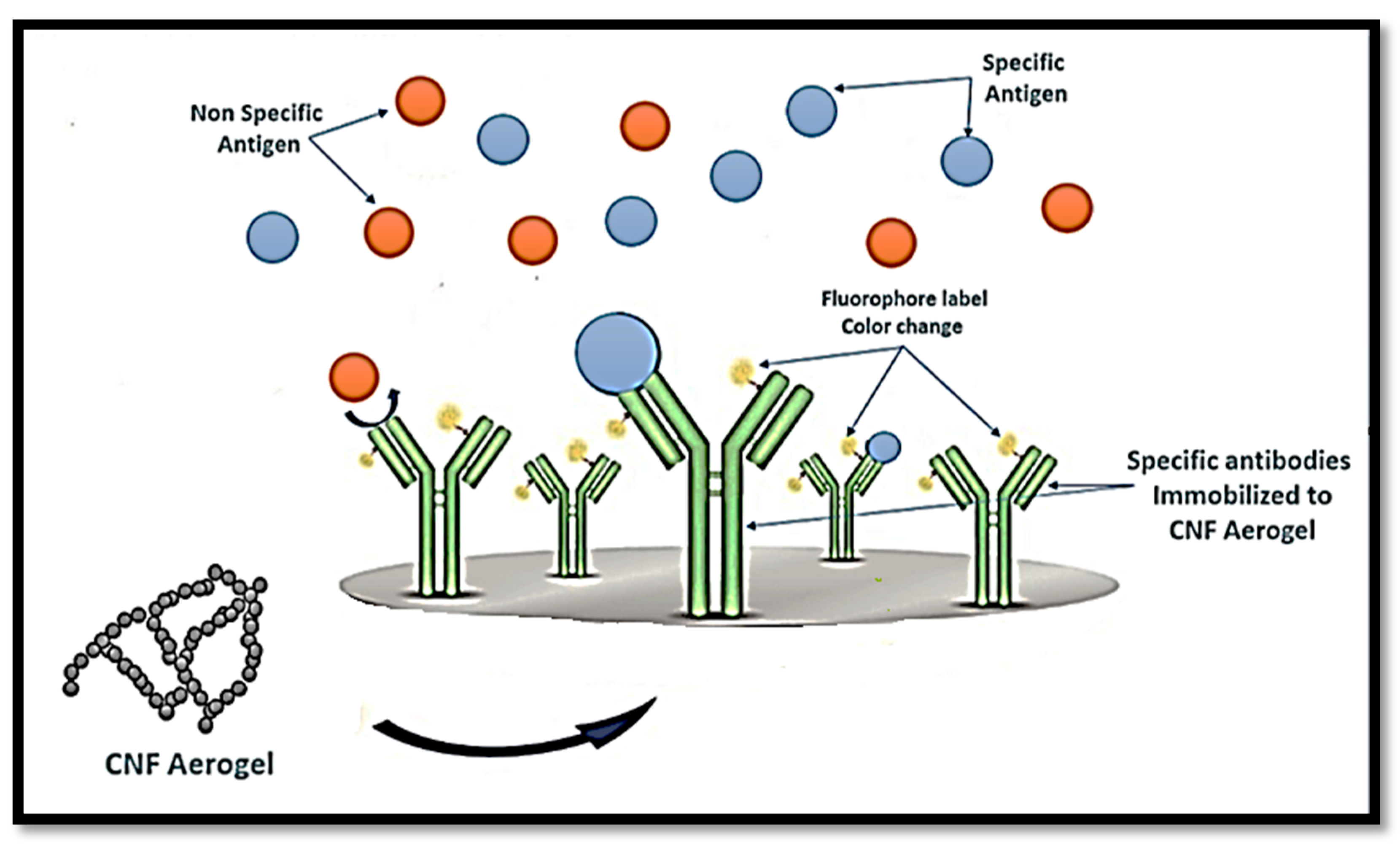 Polymers 12 01759 g009