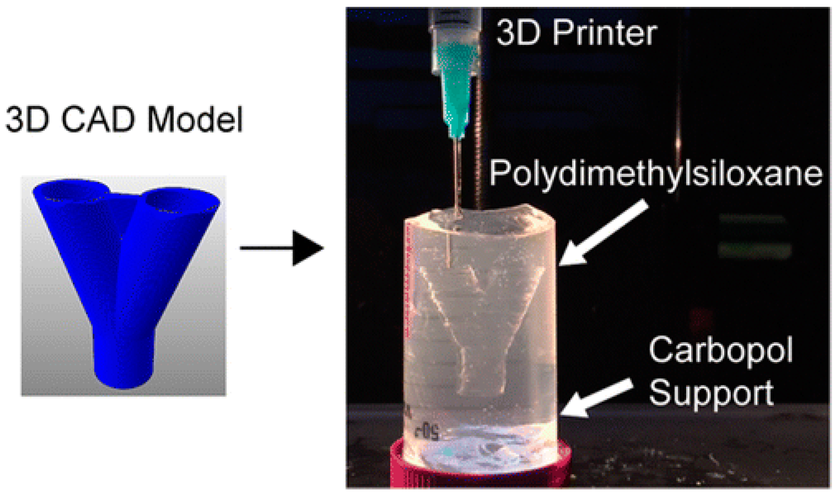 Polymers | Free Full-Text | Synthetic Polymers for Organ 3D Printing
