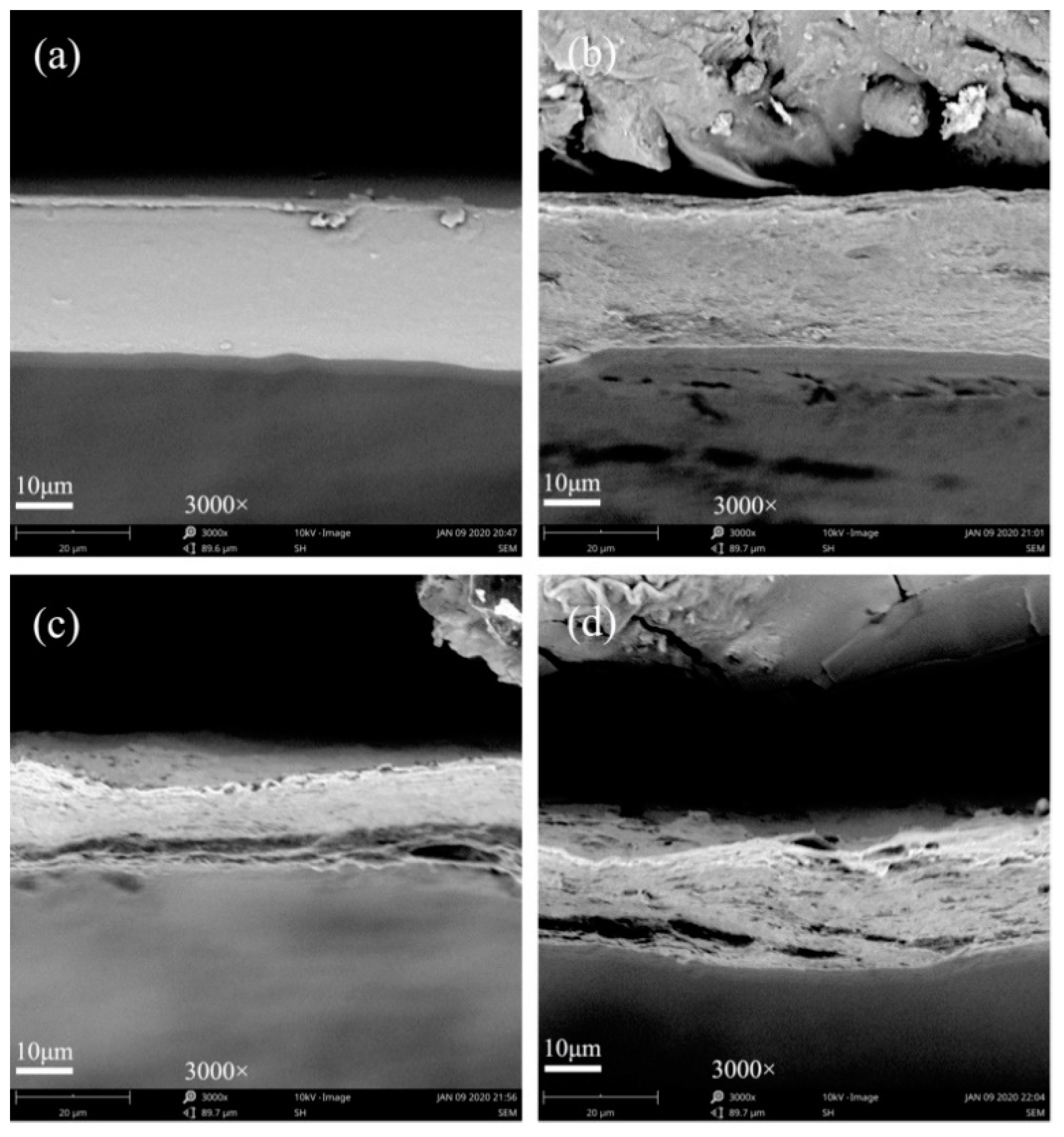 Polymers 12 01780 g004 Polymers 12 01780 g004