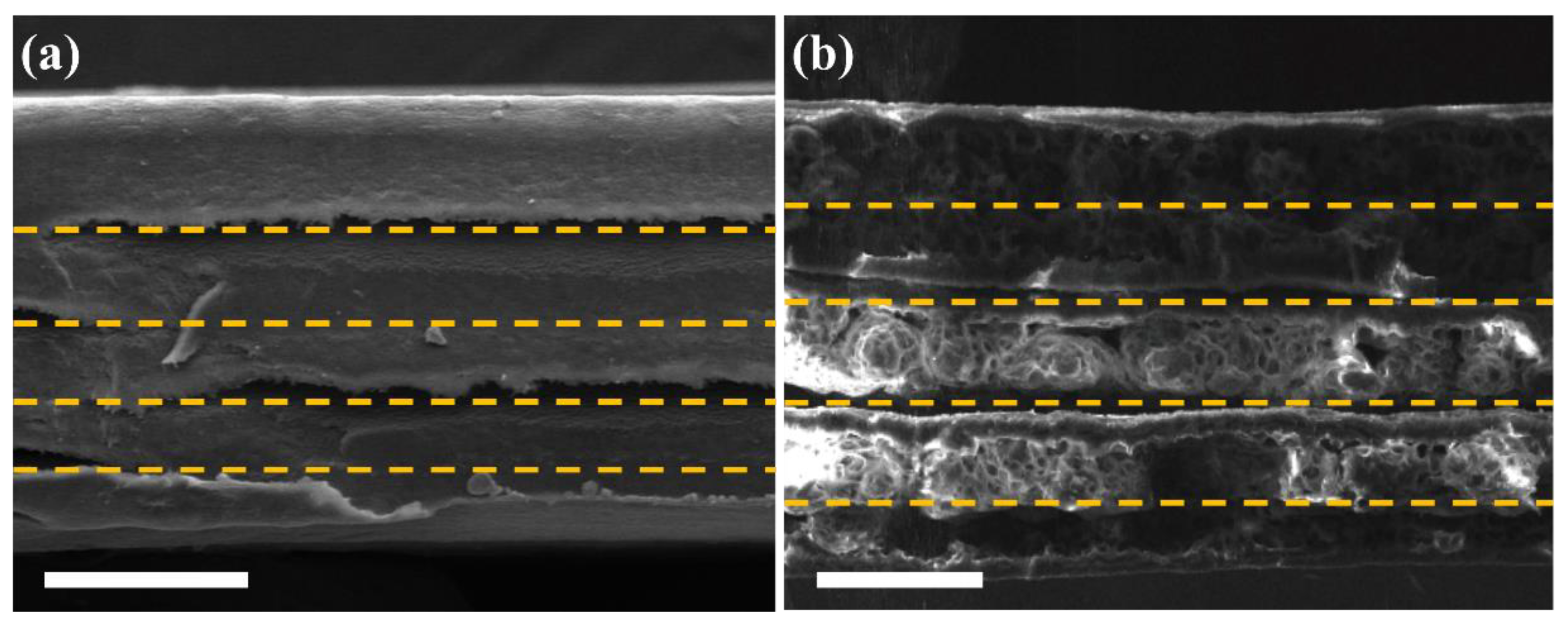 Polymers 12 01805 g001