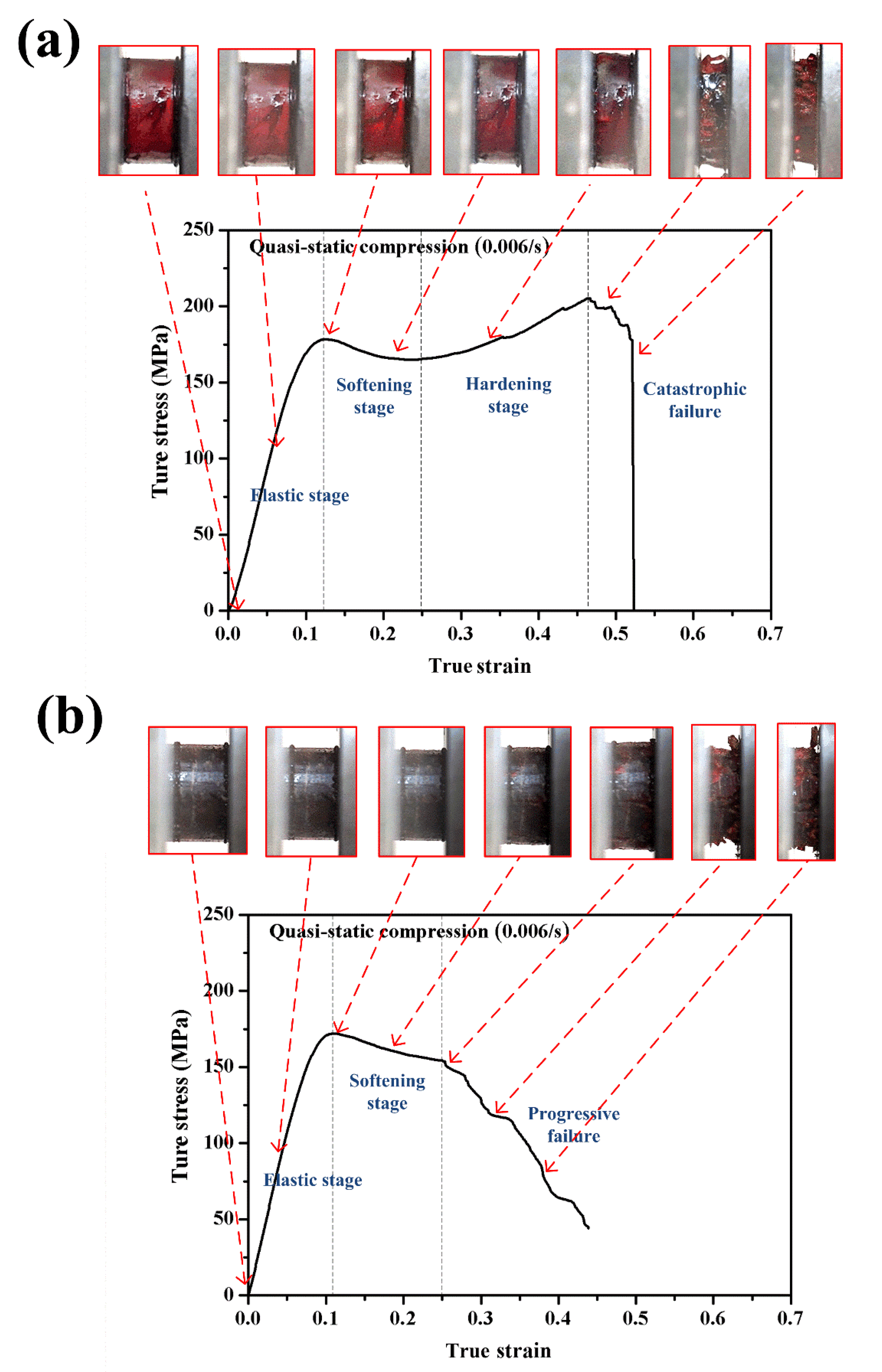 Polymers 12 01809 g004 Polymers 12 01809 g004