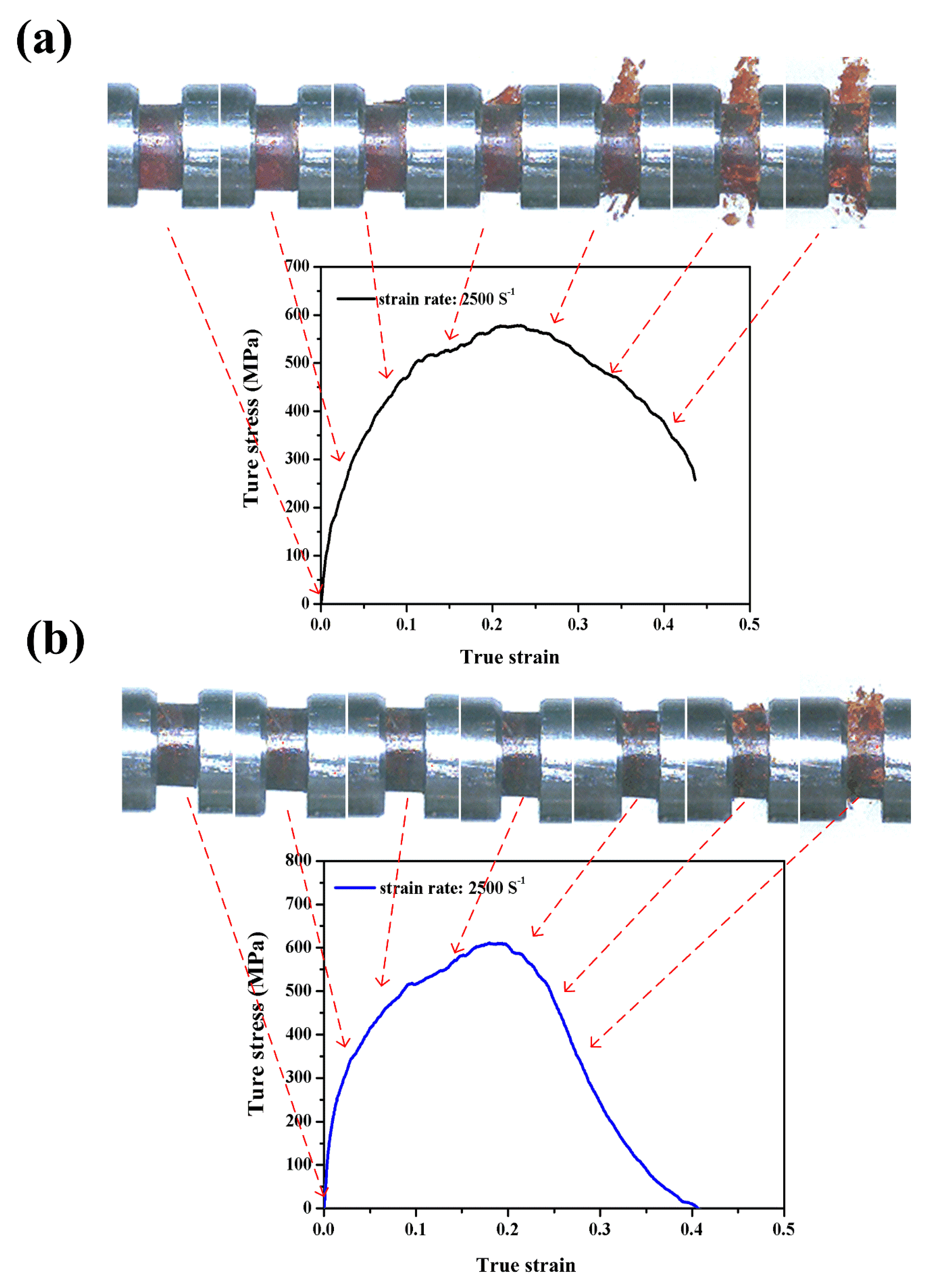 Polymers 12 01809 g009 Polymers 12 01809 g009