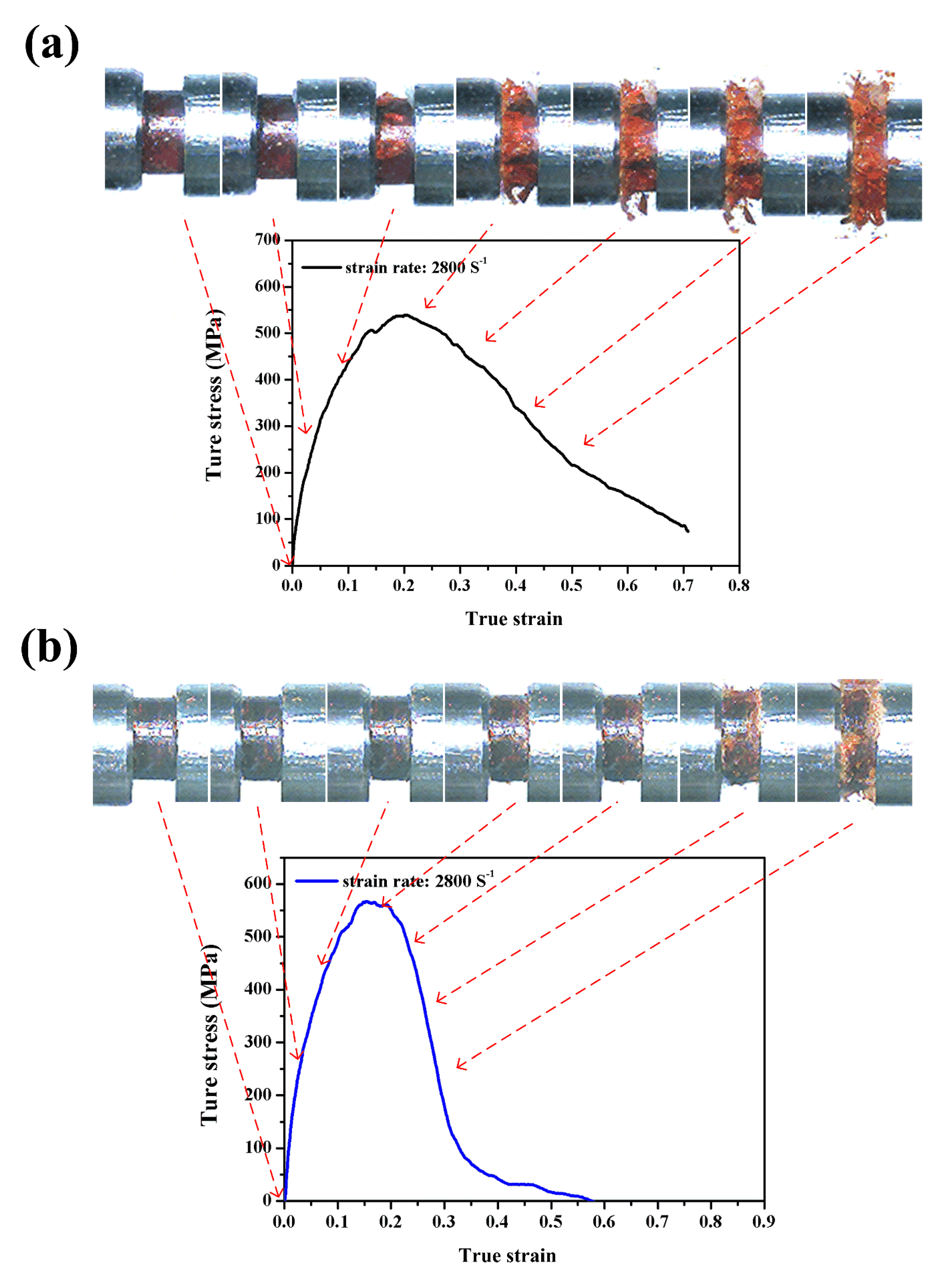 Polymers 12 01809 g010 Polymers 12 01809 g010
