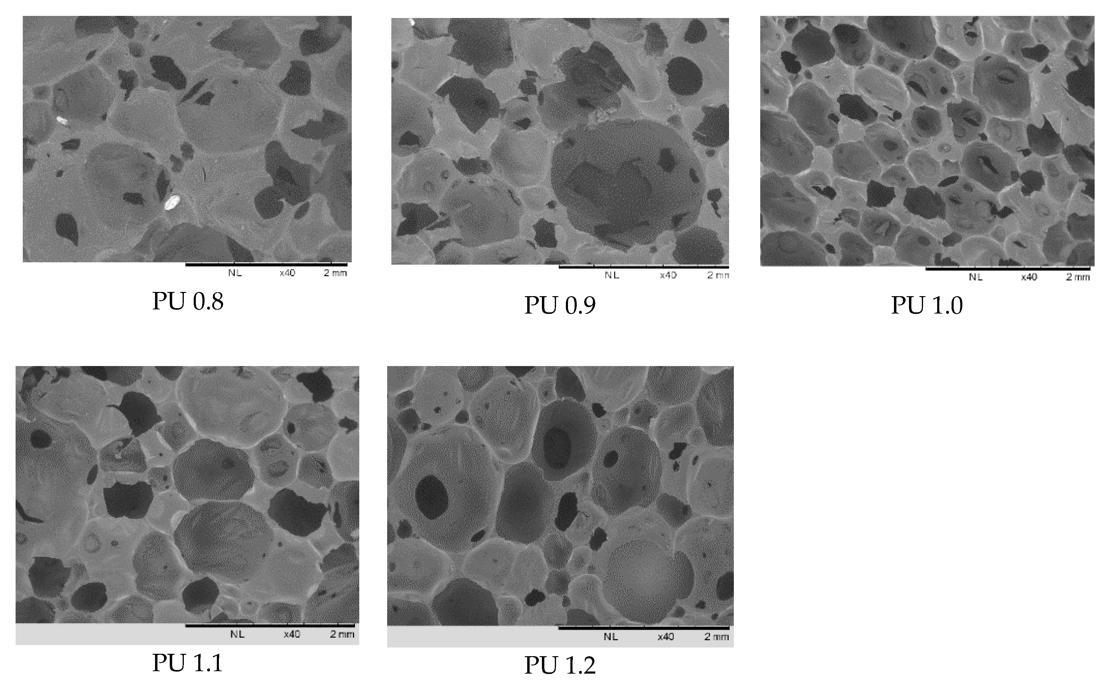 Polymers 12 01842 g004 Polymers 12 01842 g004