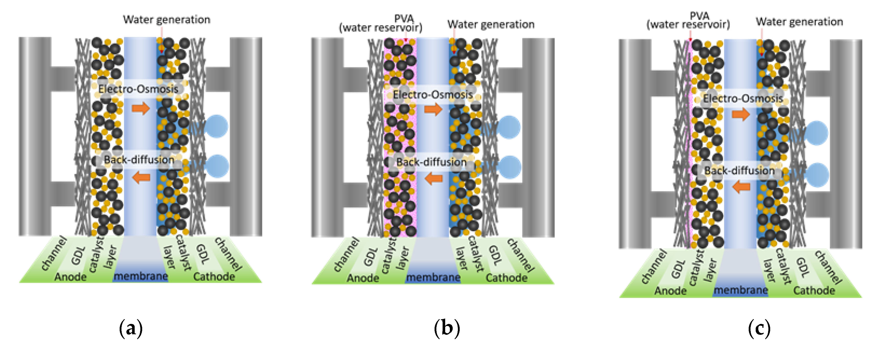Polymers 12 01865 g001 Polymers 12 01865 g001