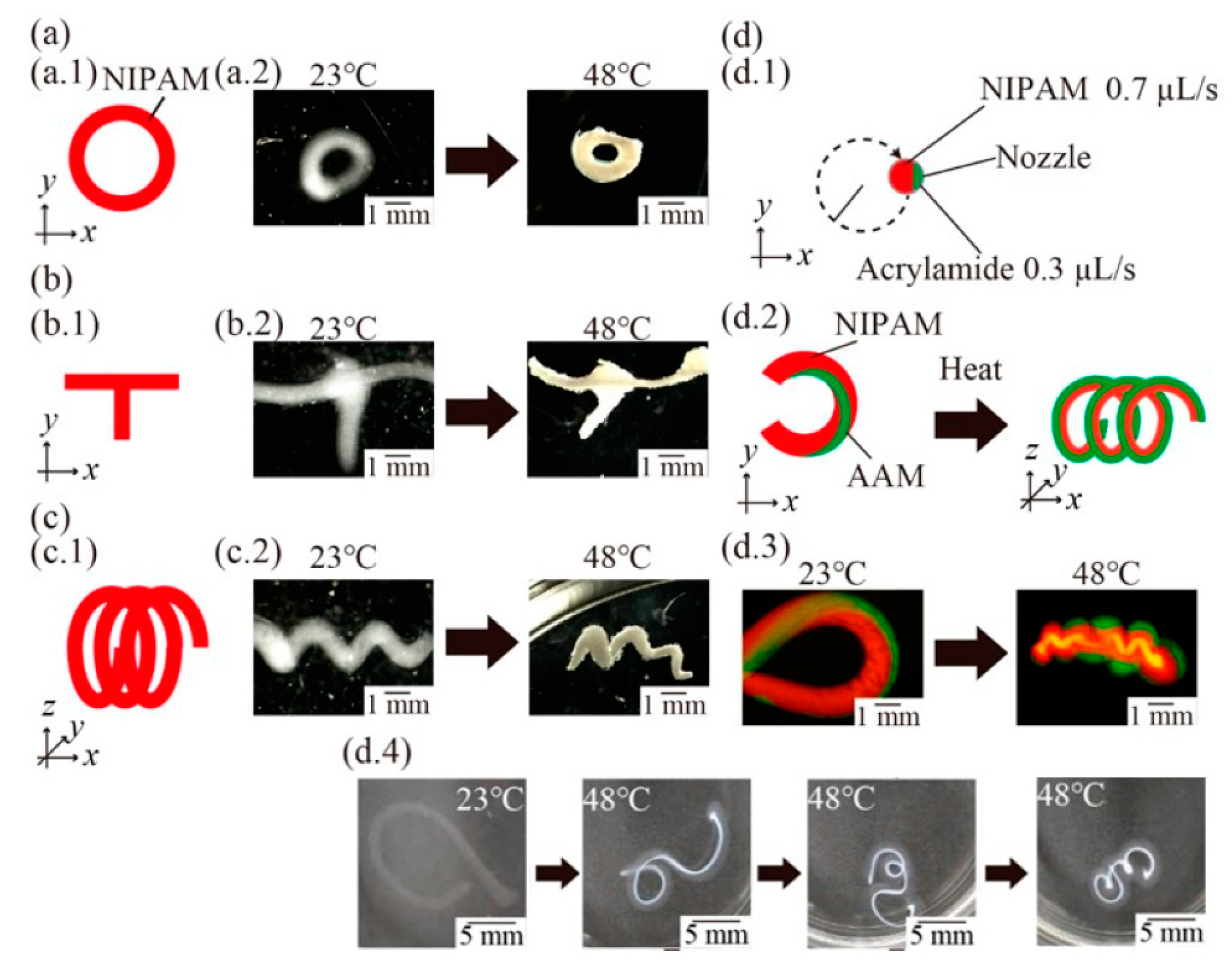 Polymers Free Full Text Extending Cellulose Based Polymers Application In Additive Manufacturing Technology A Review Of Recent Approaches Html