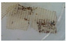 Polymers 12 01878 i023 Polymers 12 01878 i023