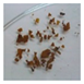 Polymers 12 01878 i037 Polymers 12 01878 i037