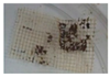 Polymers 12 01878 i047 Polymers 12 01878 i047