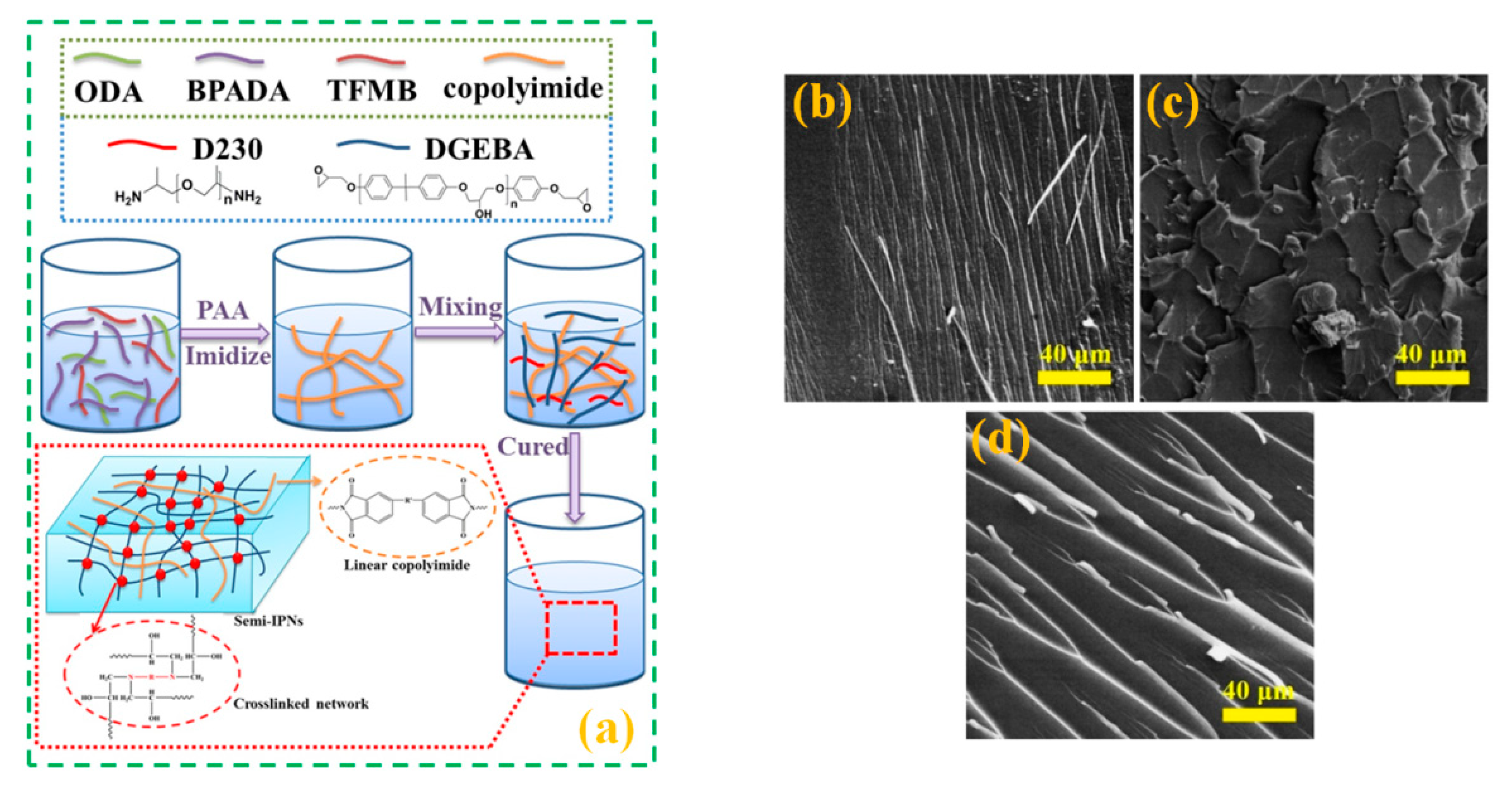 Polymers 12 01908 g003 Polymers 12 01908 g003