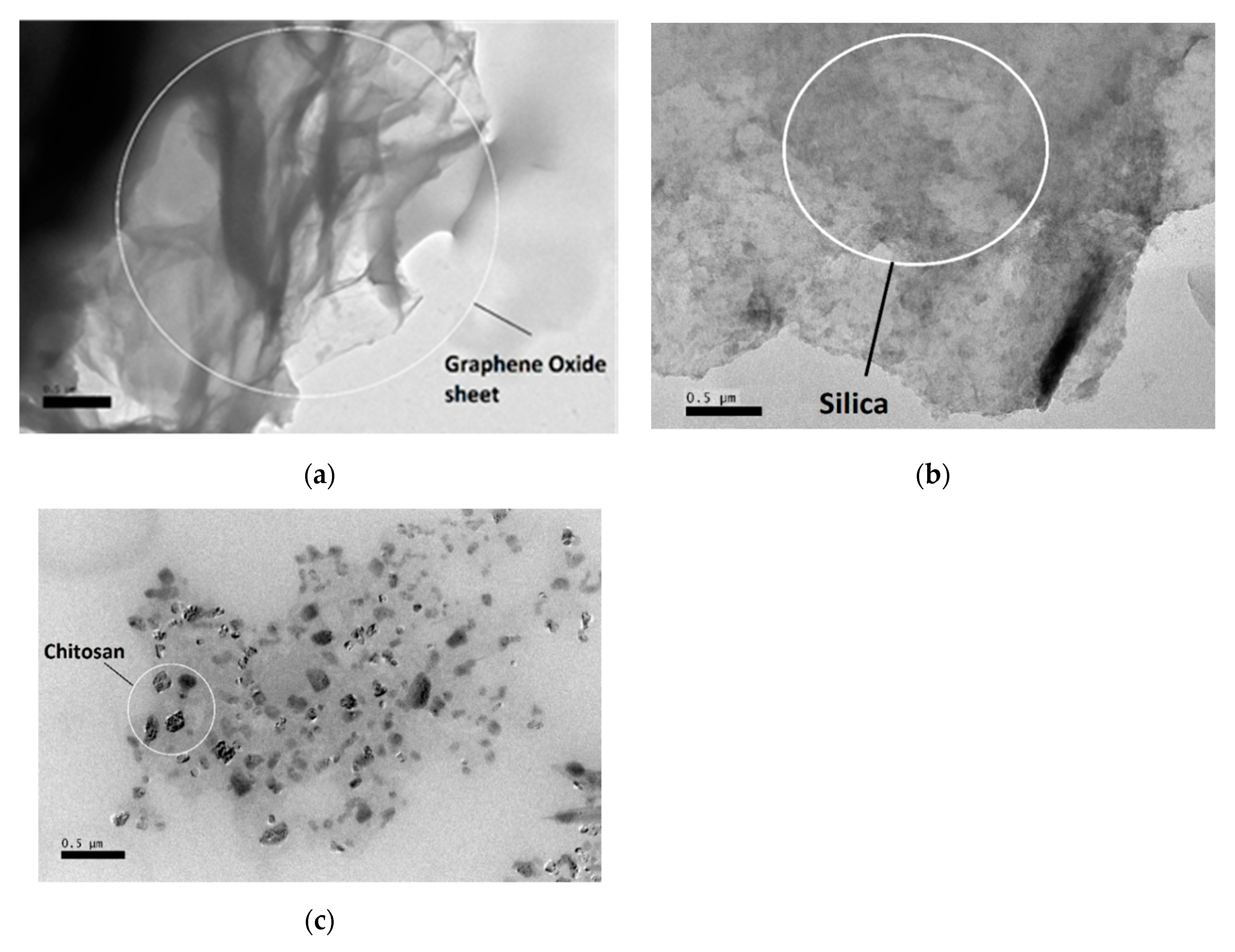Polymers 12 01922 g002 Polymers 12 01922 g002