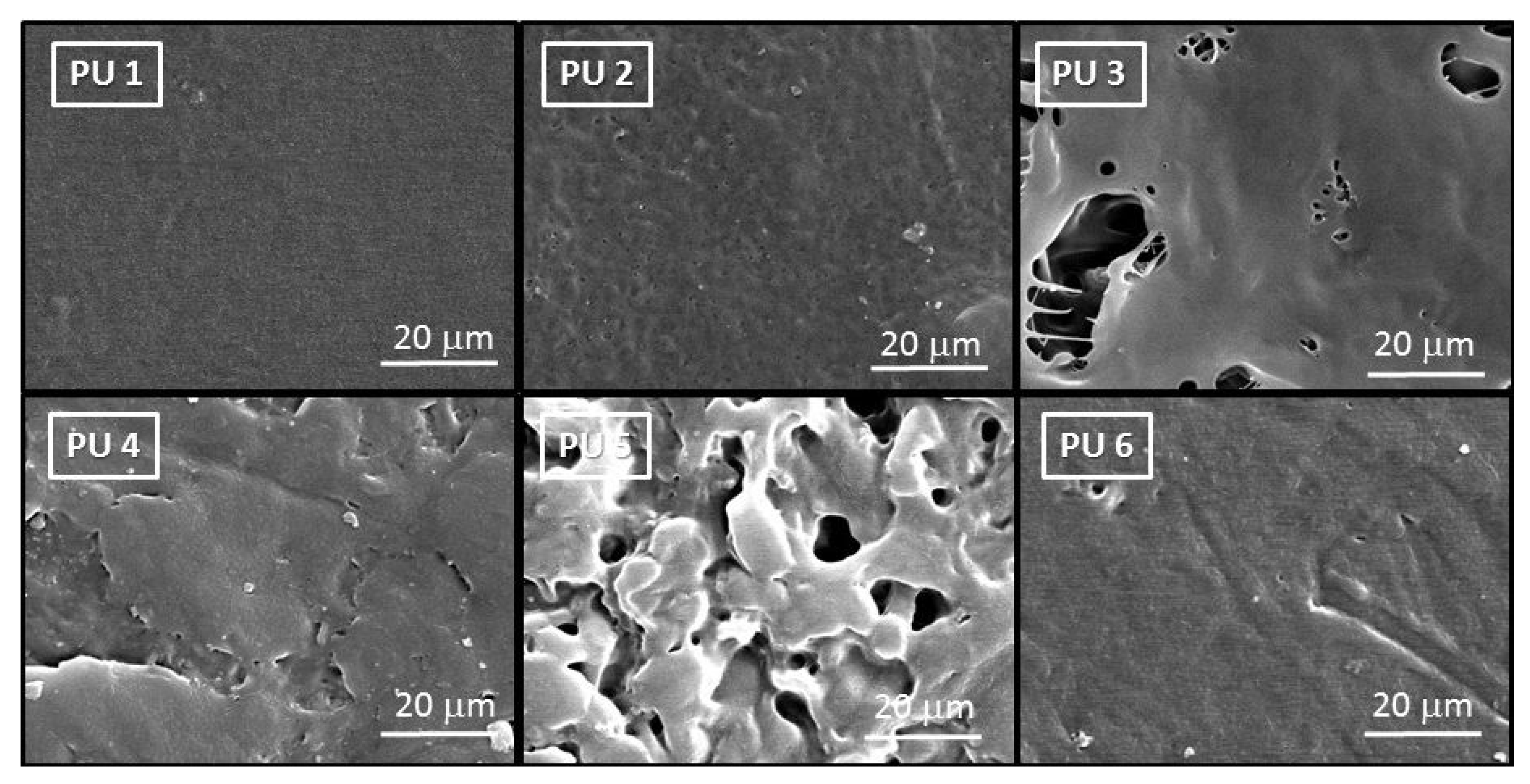 Polymers 12 01928 g004