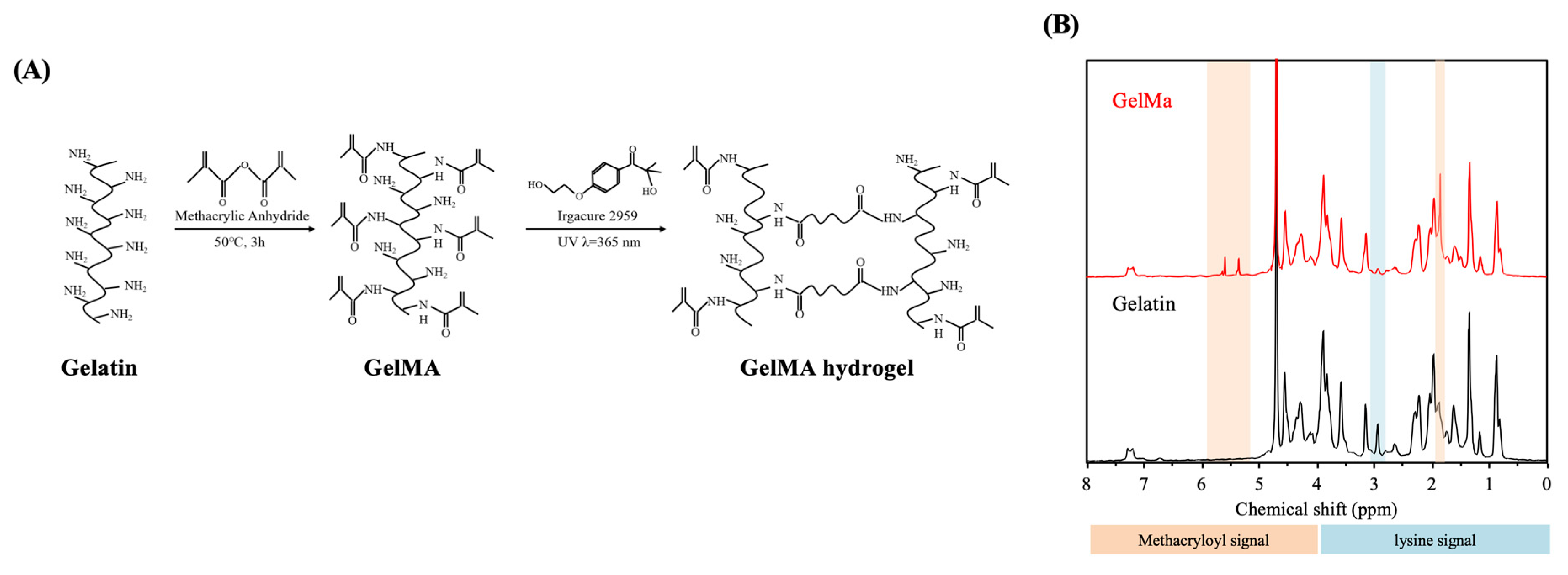 Polymers 12 01930 g001 Polymers 12 01930 g001