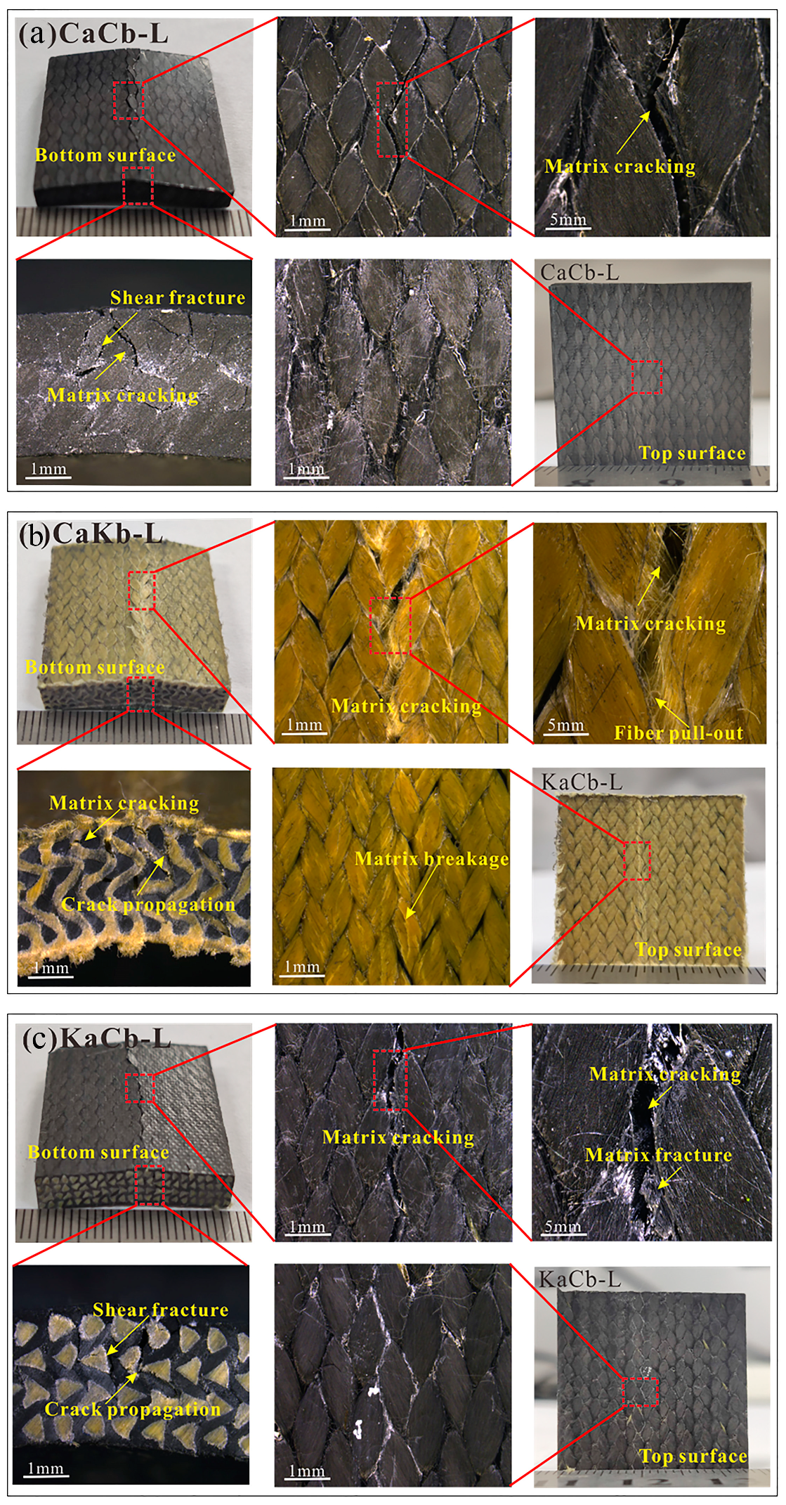 Polymers 12 01931 g006 Polymers 12 01931 g006