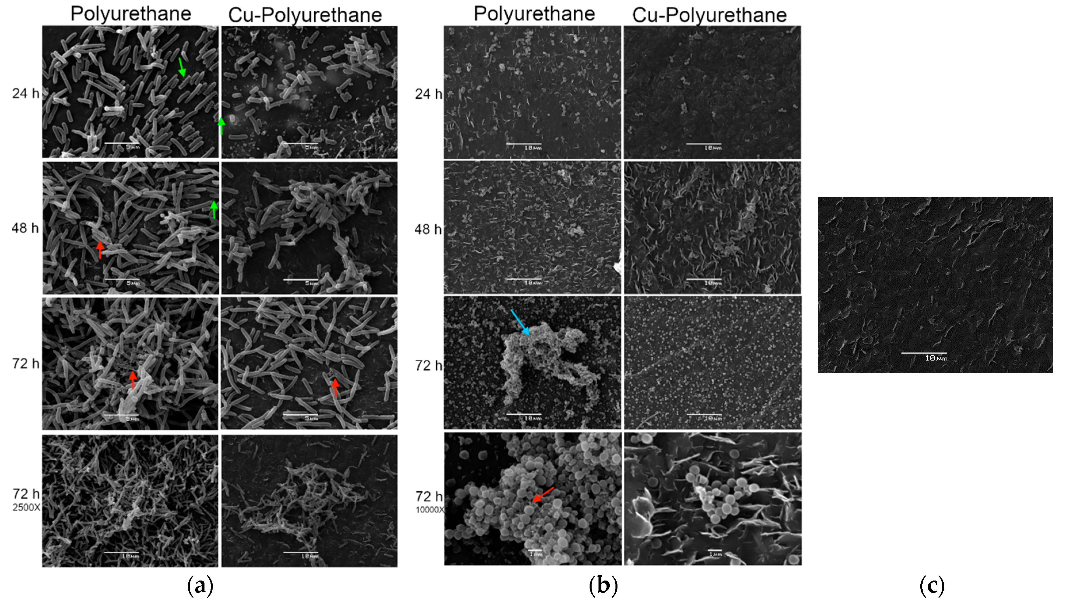 Polymers 12 01934 g004 Polymers 12 01934 g004