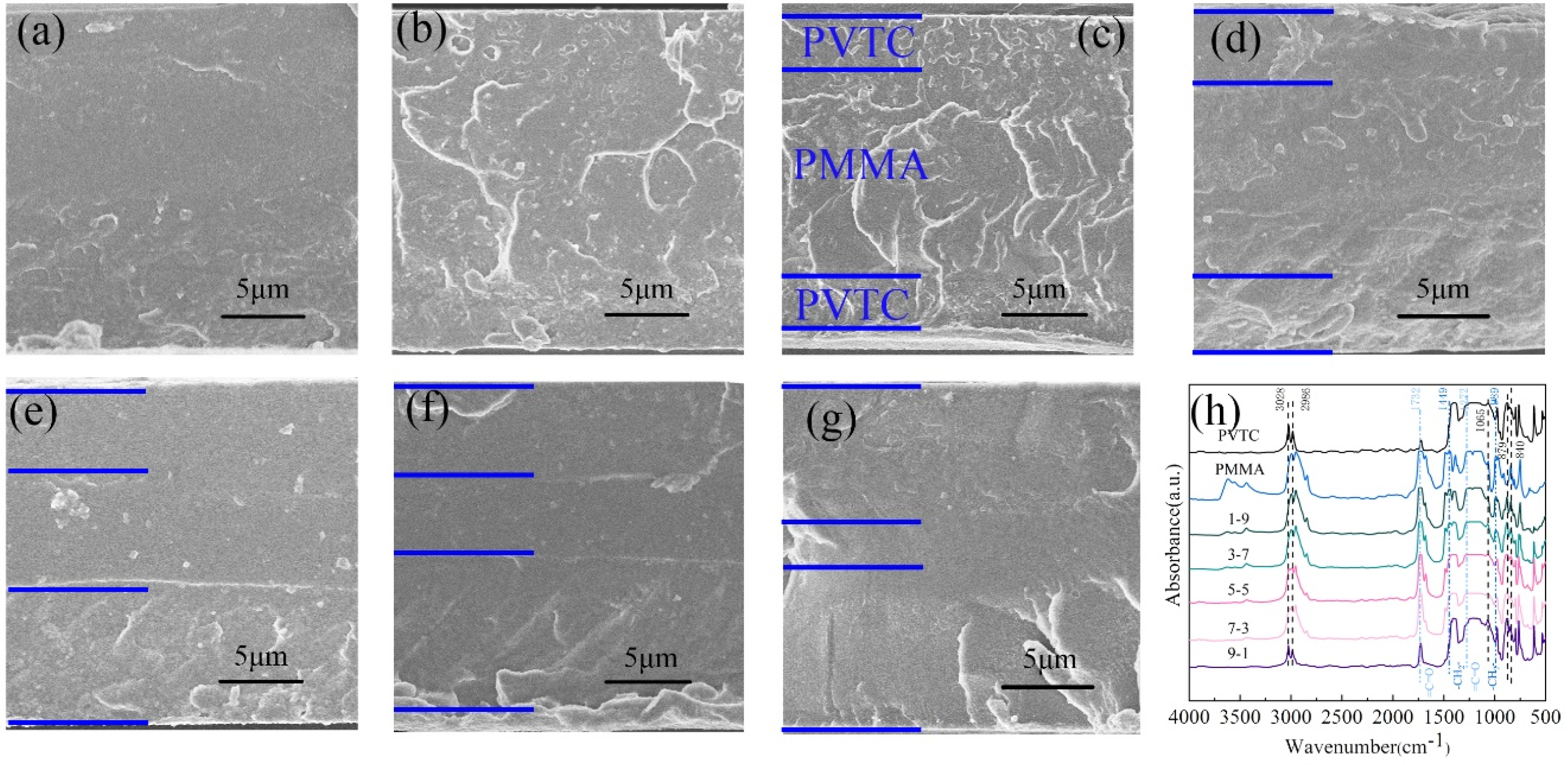 Polymers 12 01972 g001 Polymers 12 01972 g001