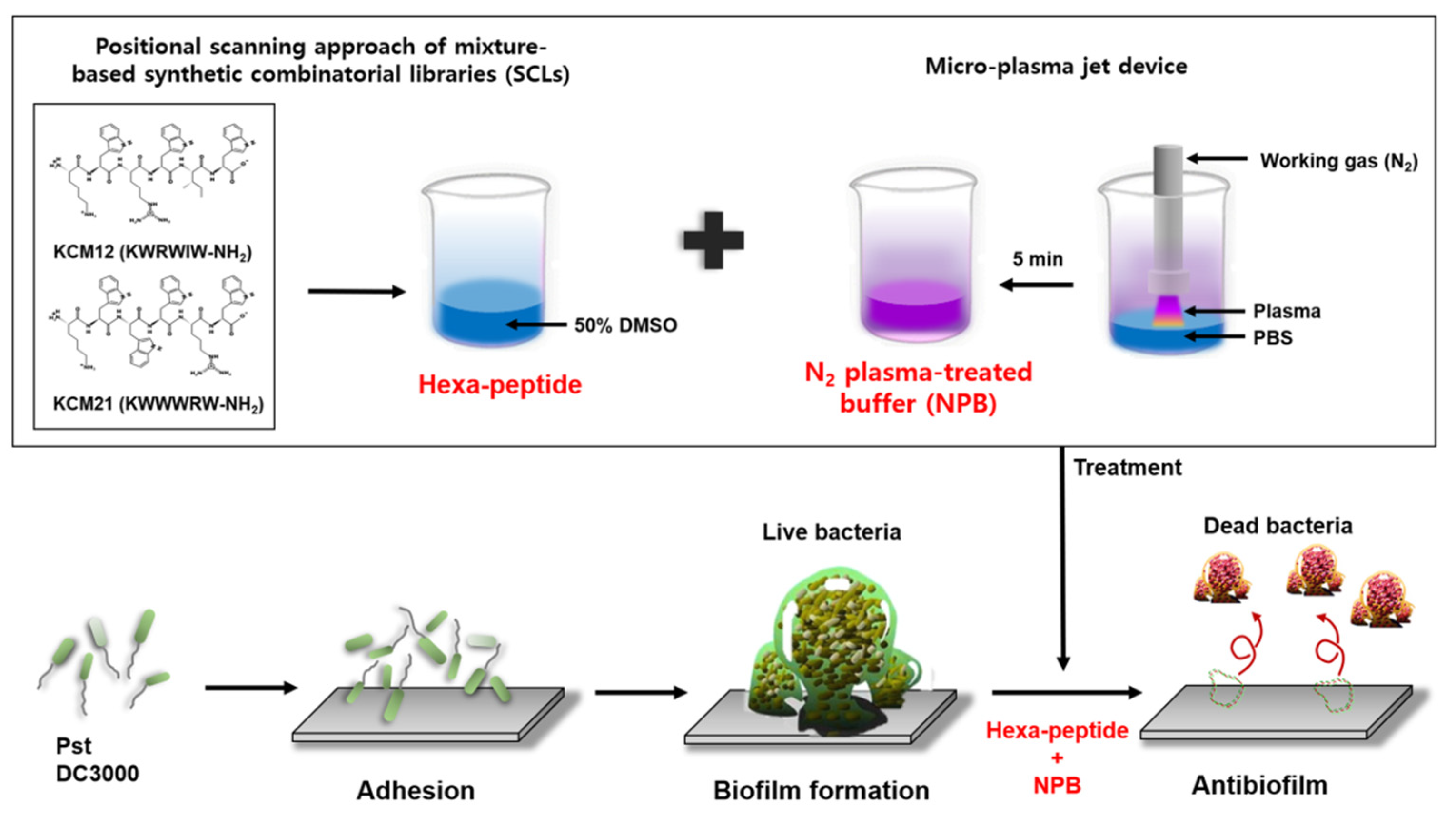 Polymers 12 01992 g001 Polymers 12 01992 g001