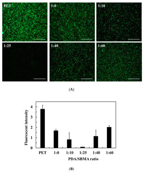 Oxidant Control of Polydopamine Surface Chemistry in Acids: A  Mechanism-Based Entry to Superhydrophilic-Superoleophobic Coatings