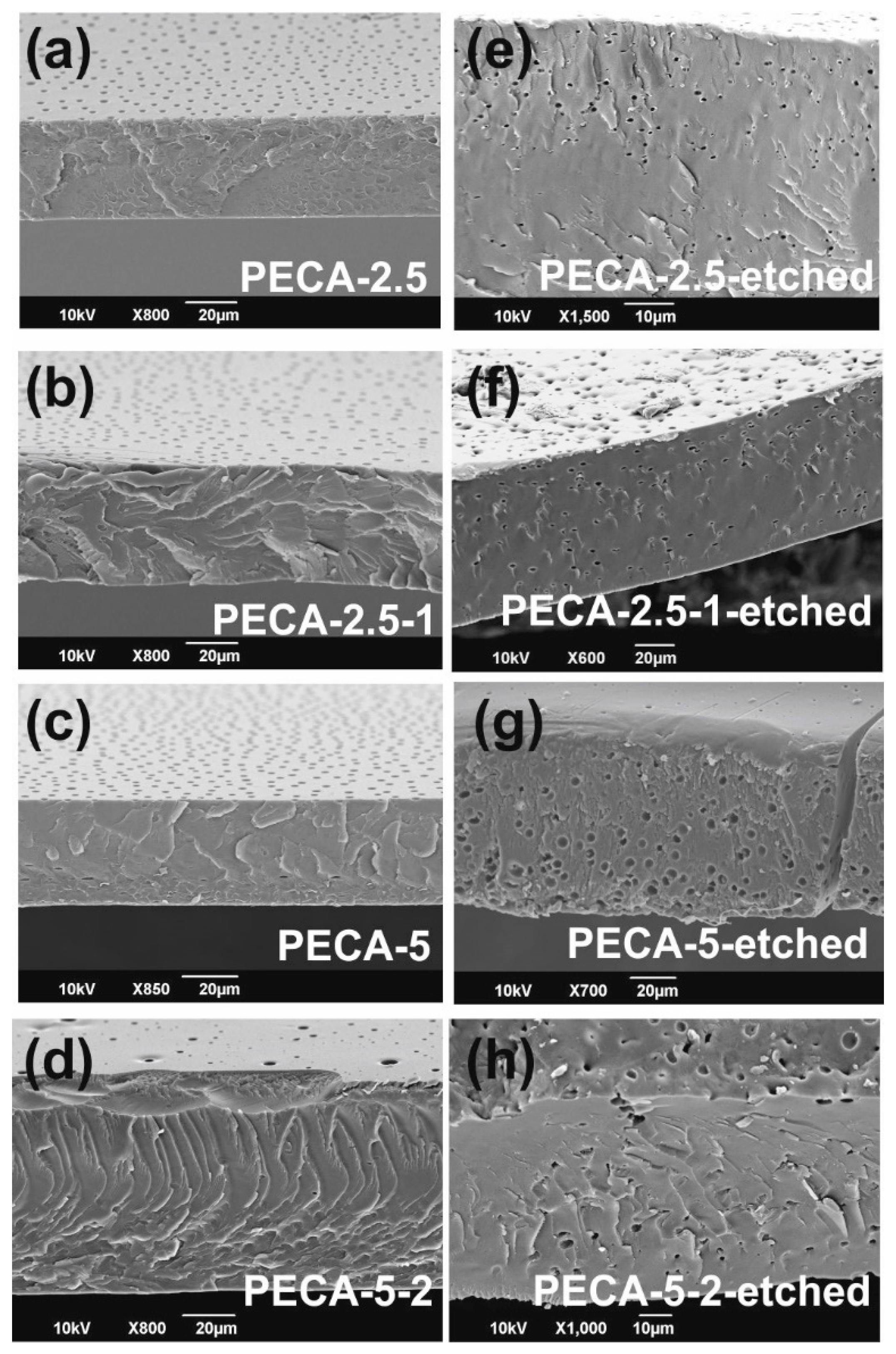 Polymers 12 02011 g004