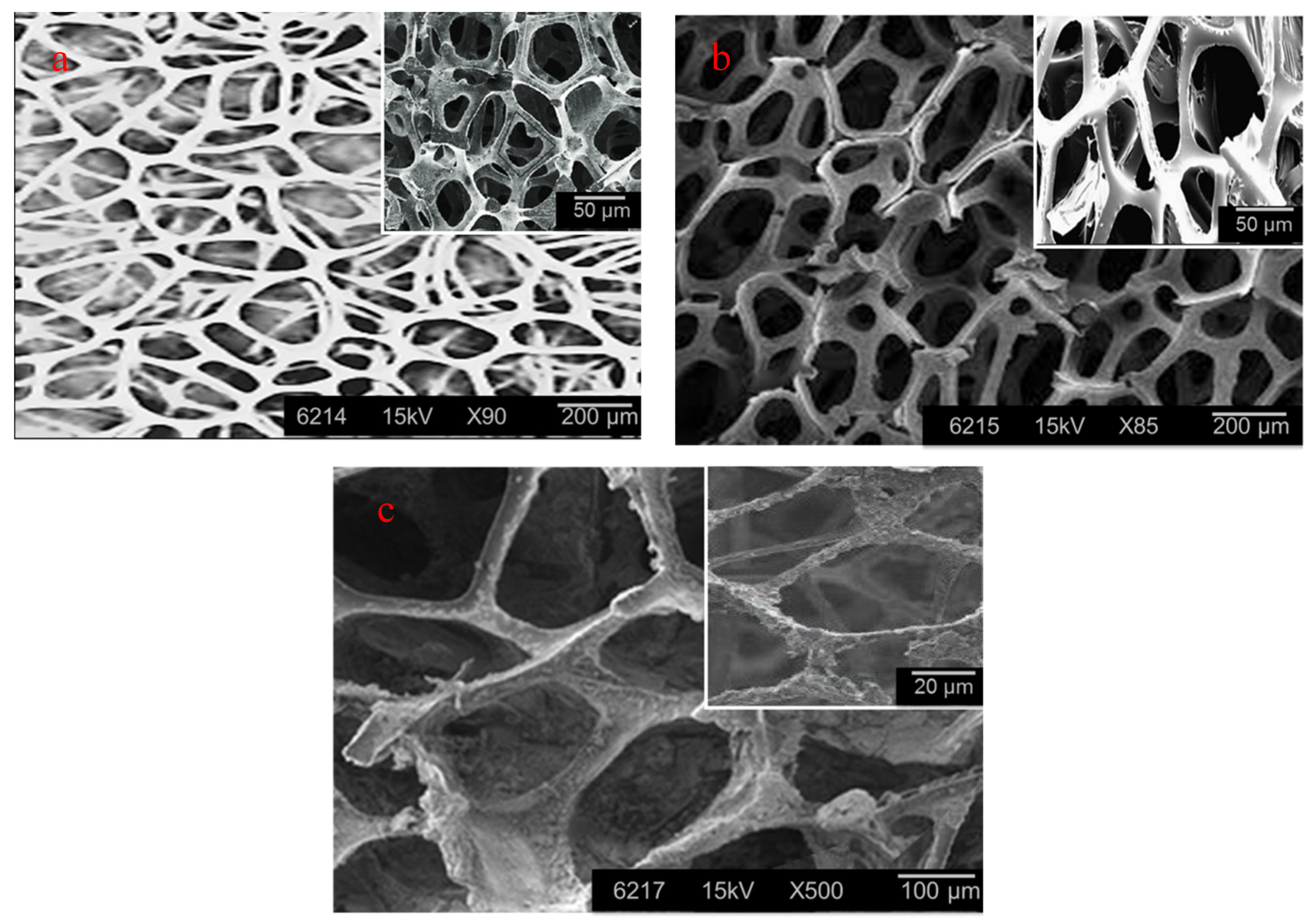 Polymers 12 02036 g003 Polymers 12 02036 g003