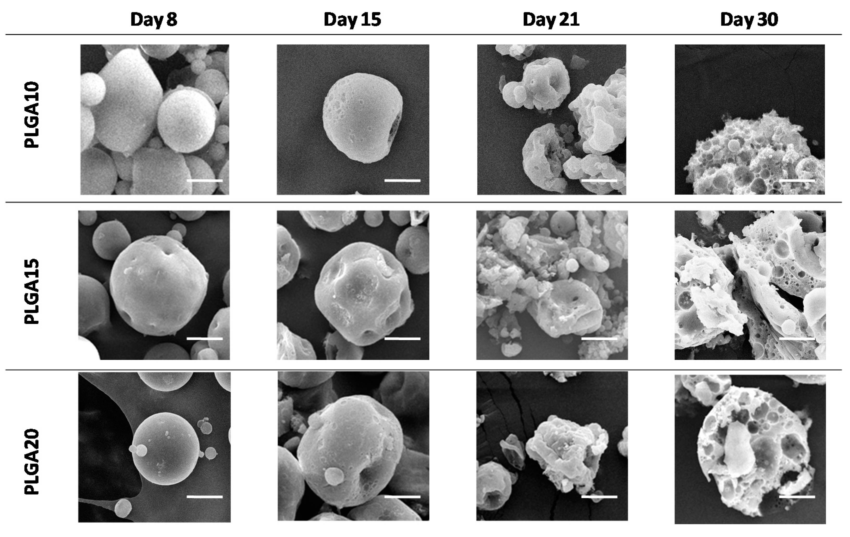 Polymers 12 02042 g001 Polymers 12 02042 g001