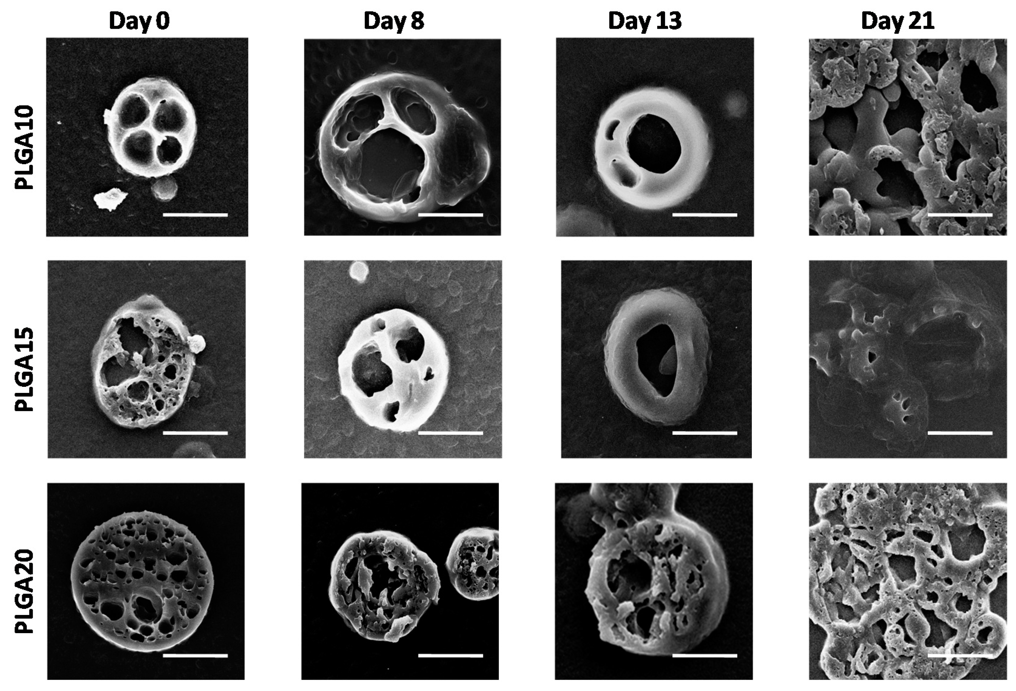 Polymers 12 02042 g002 Polymers 12 02042 g002