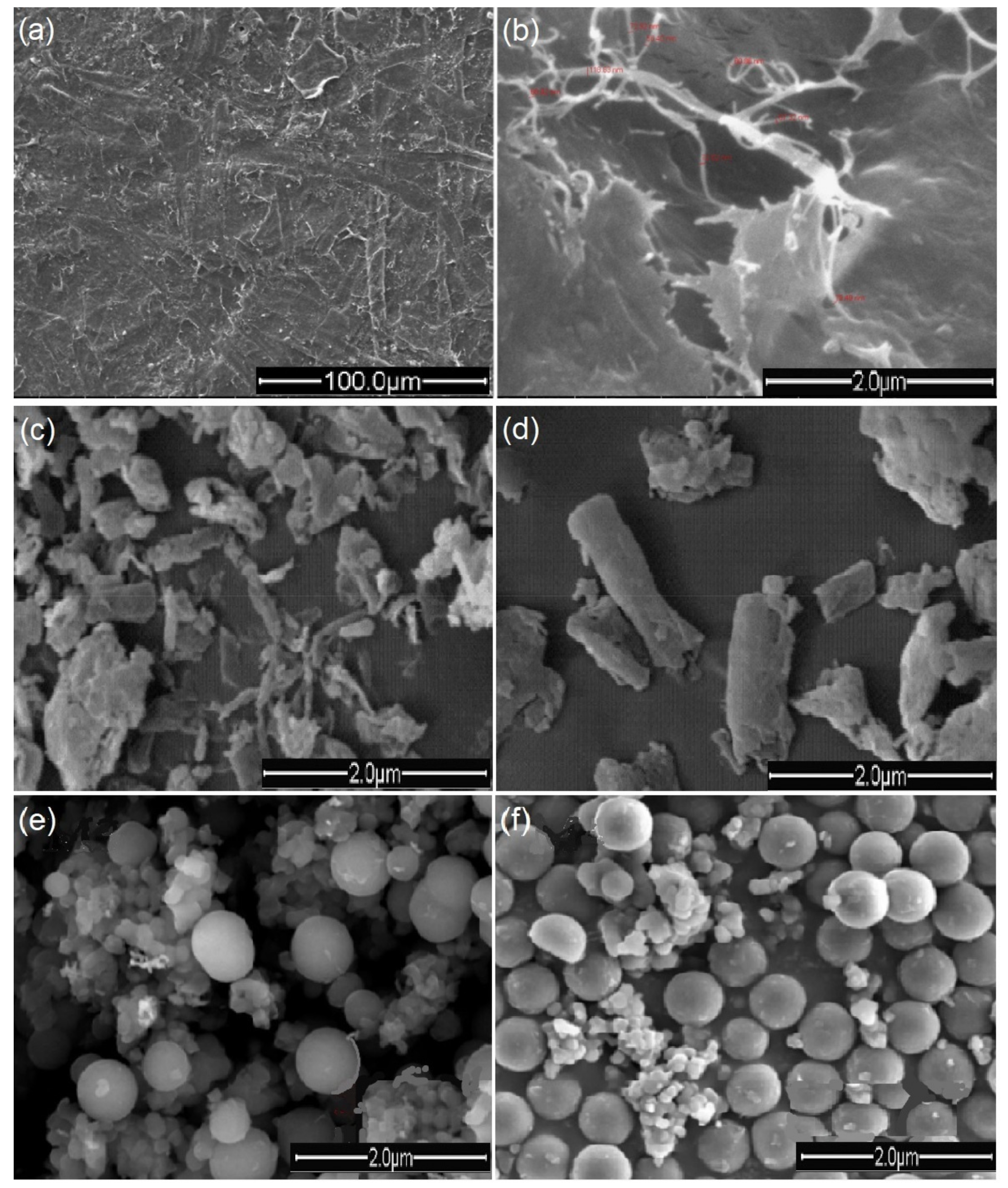 Polymers 12 02043 g002 Polymers 12 02043 g002