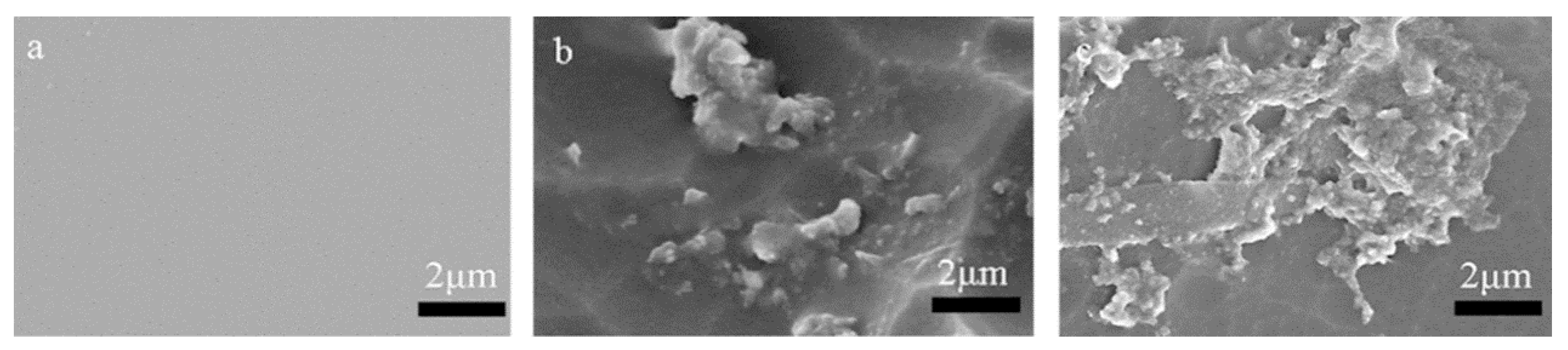 Polymers 12 02053 g011
